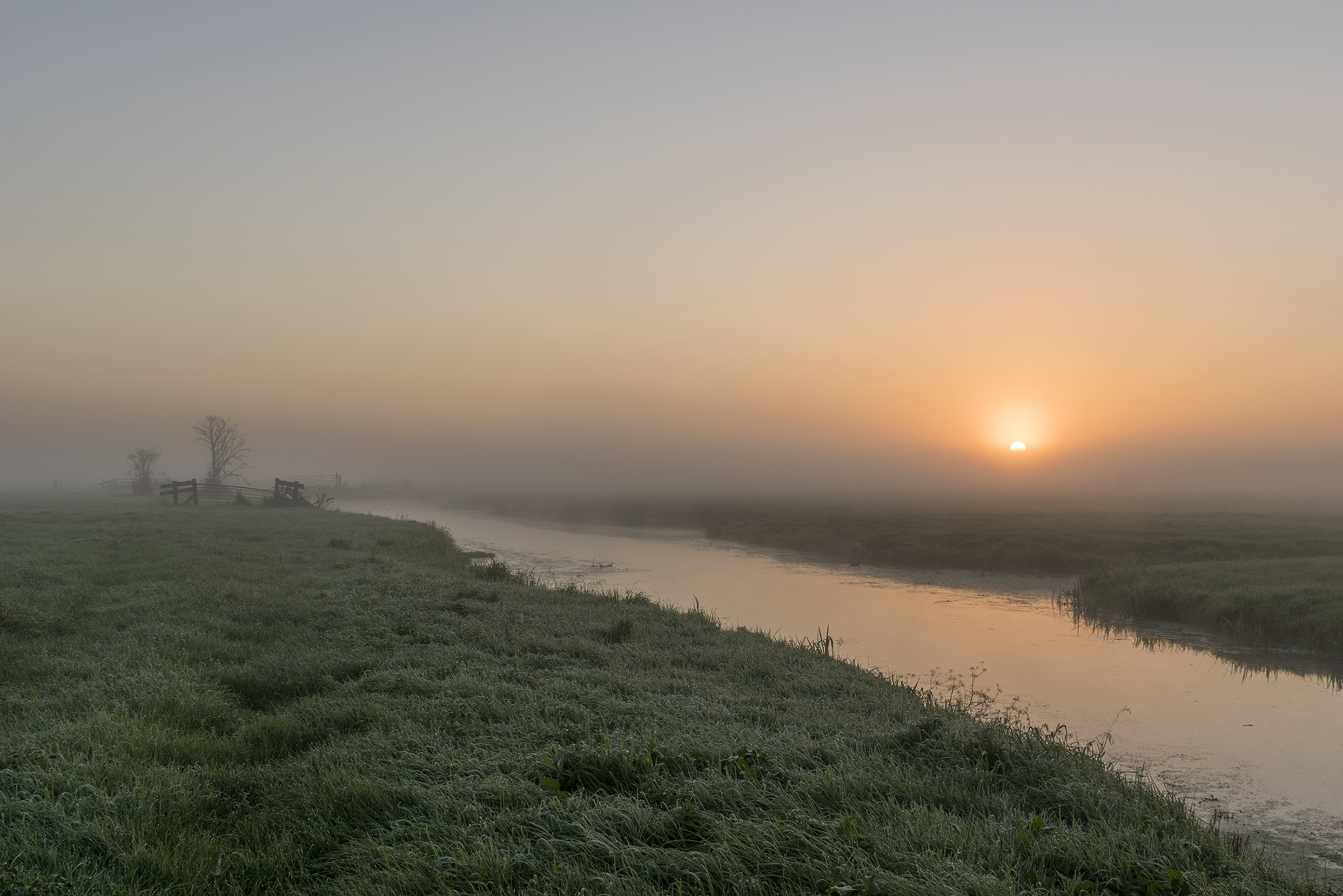 zonsopkomst-in-de-polder-1