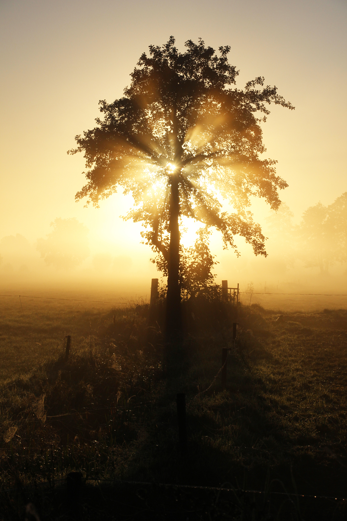 fairytale-sunrise-3-4