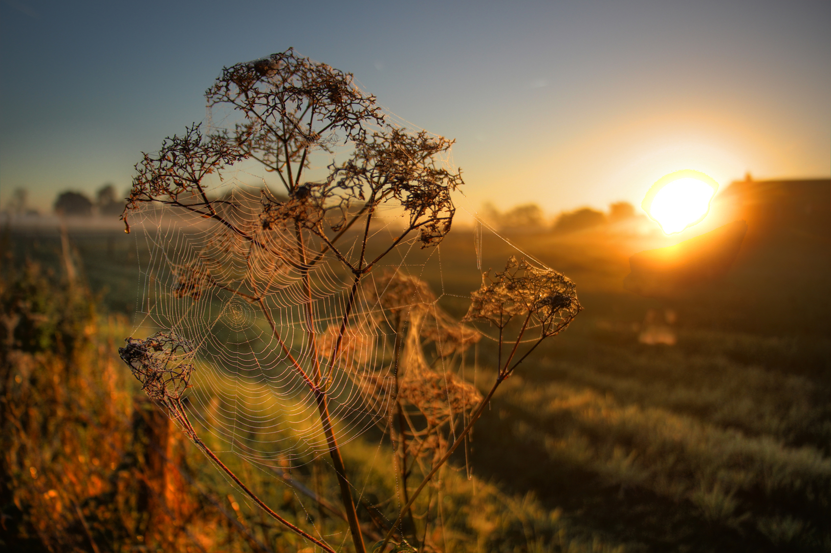 fairytale-sunrise-2-4