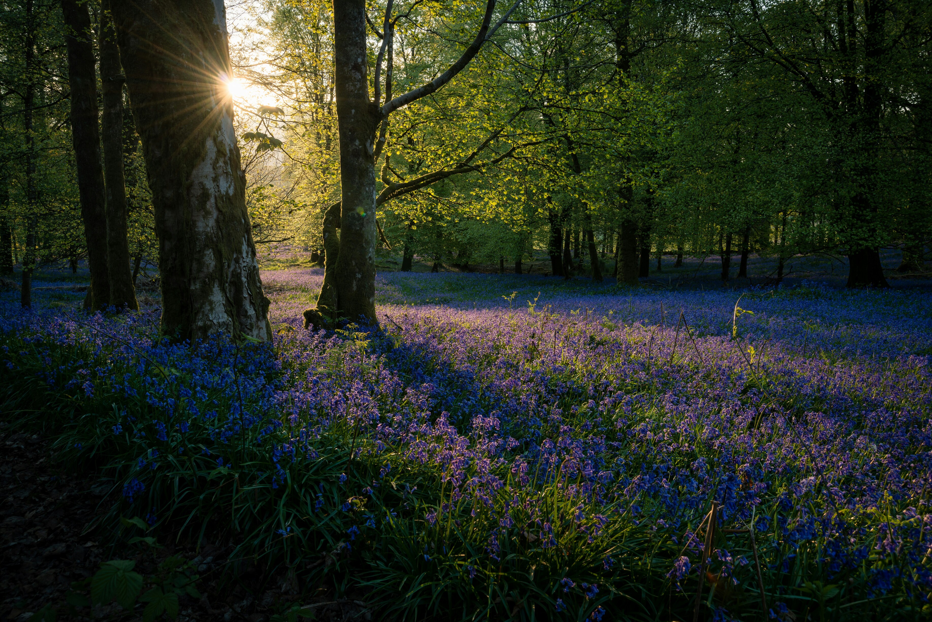 lente-fotografie-zo-vang-je-licht-en-kleur
