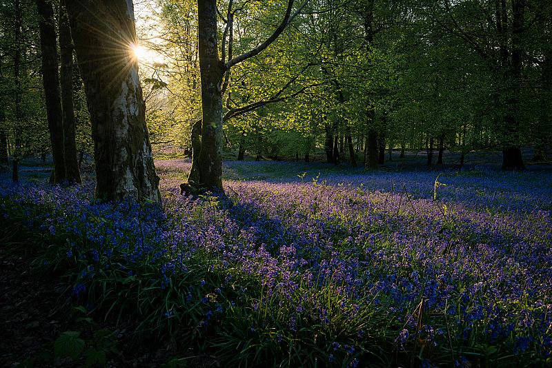 lente-fotografie-zo-vang-je-licht-en-kleur