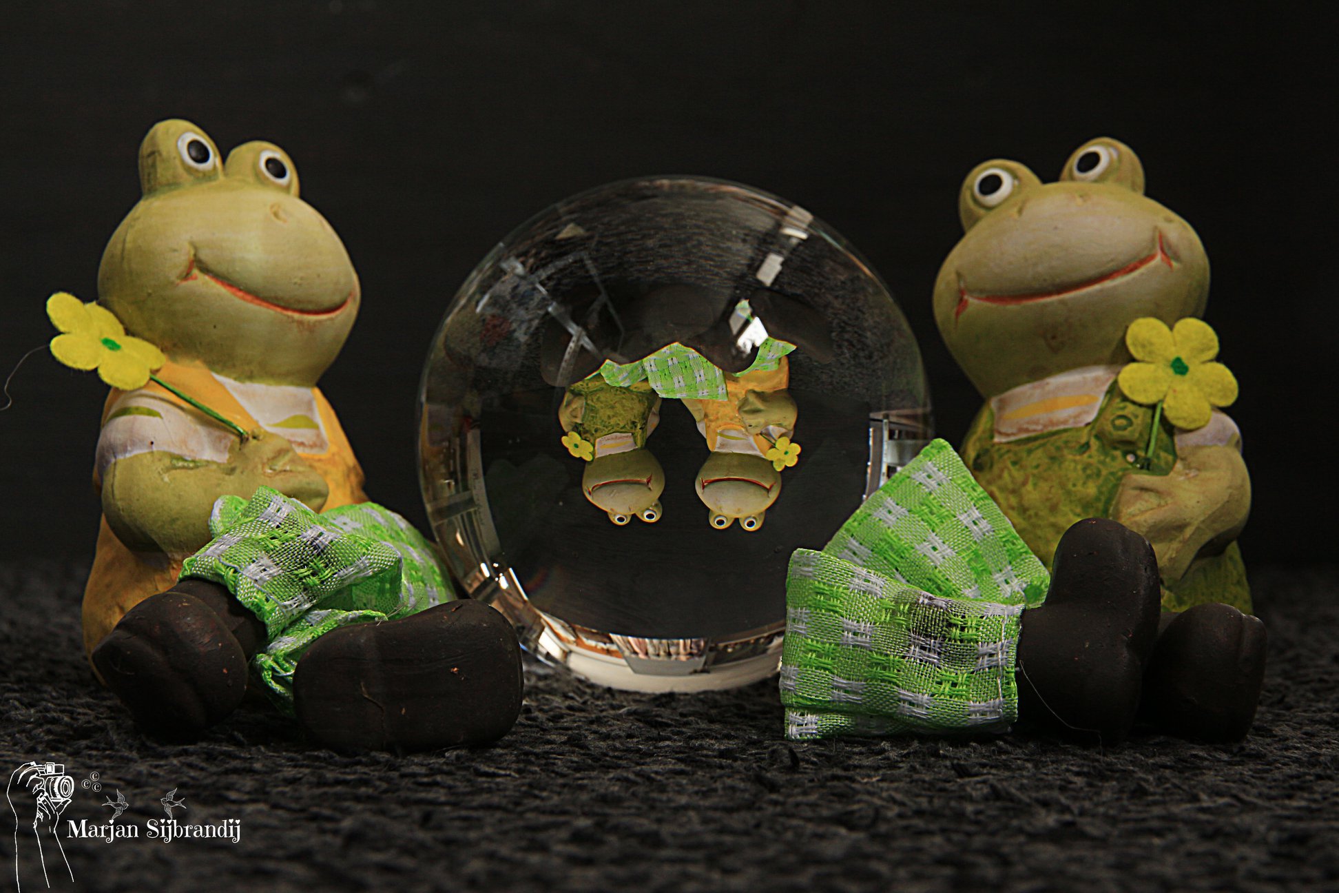 lente-kikker-in-de-bol