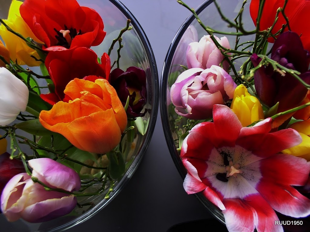 nieuwe-weekopdracht-kleur