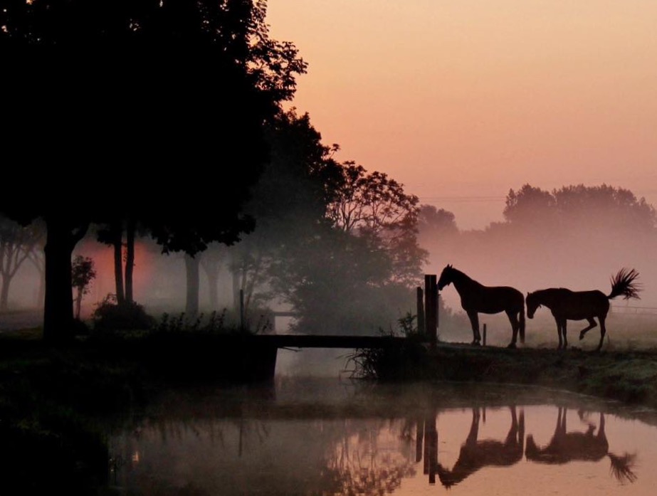 waiting-for-the-sun-to-rise