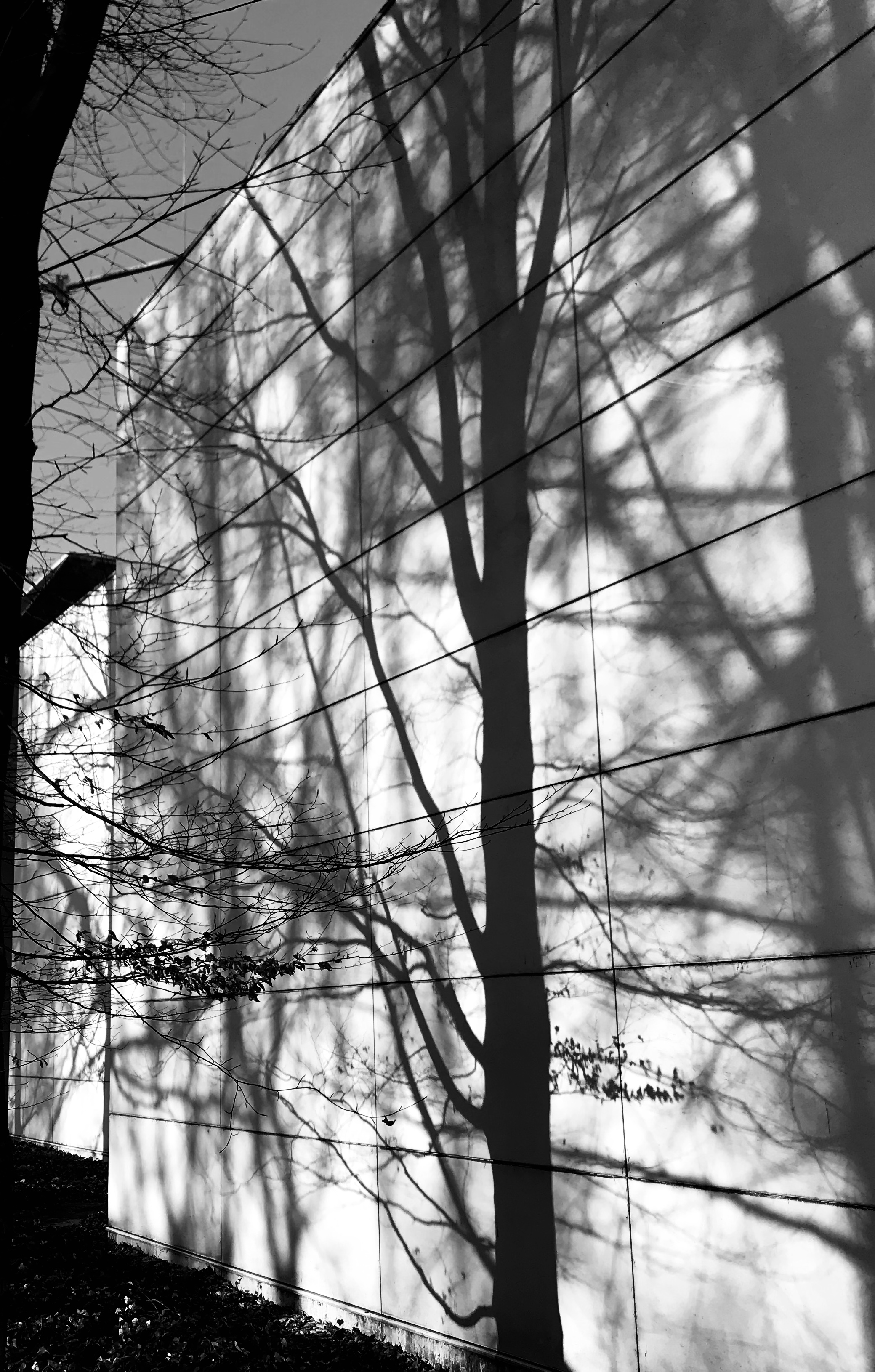 nbmuseumtuin-den-bosch