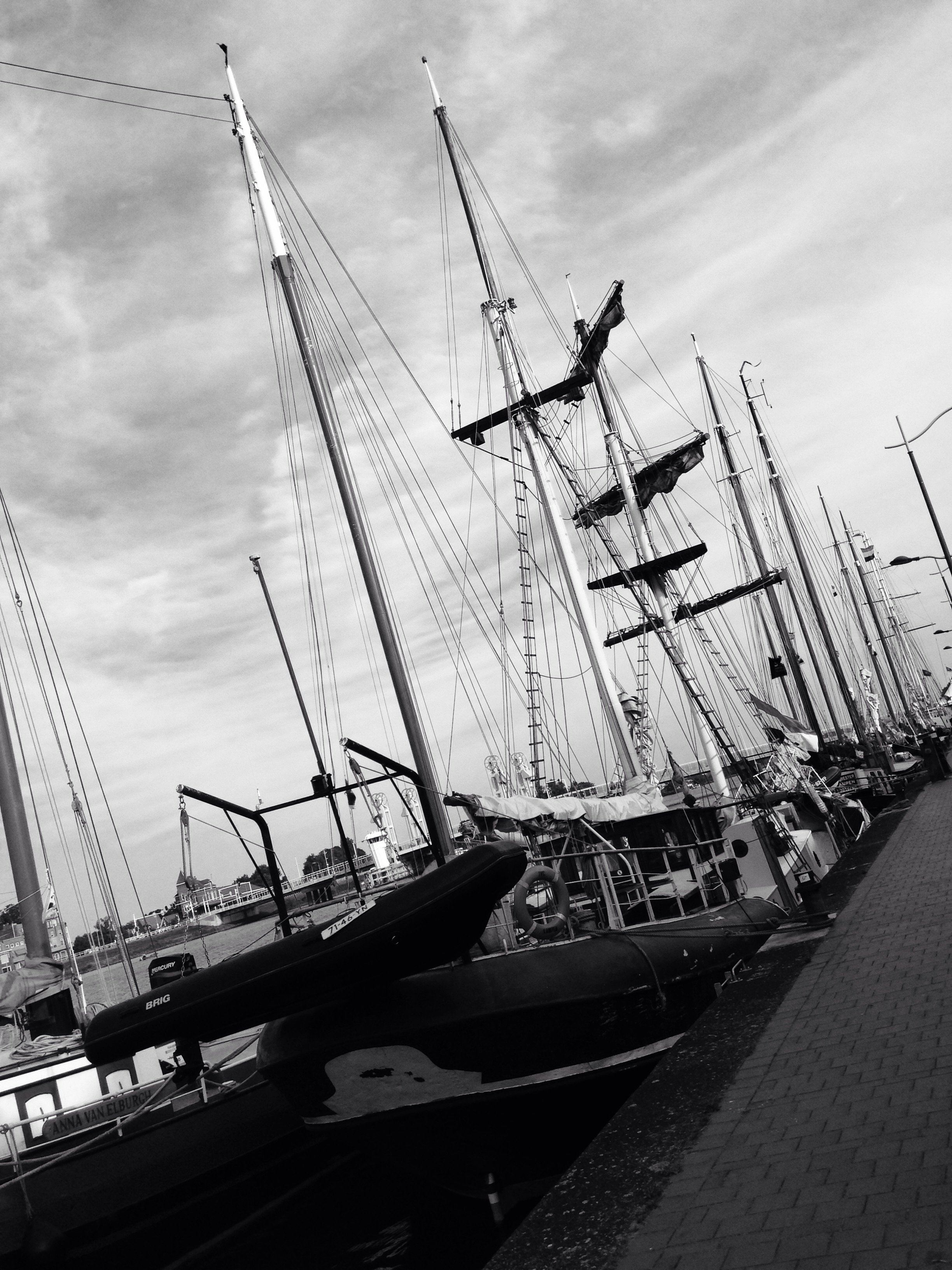 home-again-from-sail-amsterdam