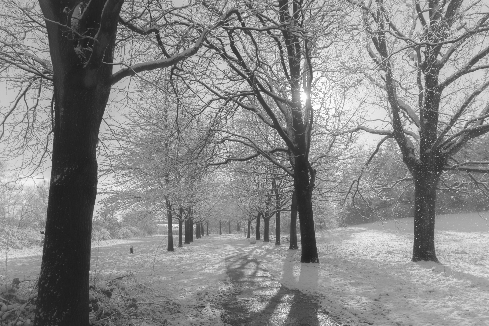 zon-en-sneeuw-op-een-helling