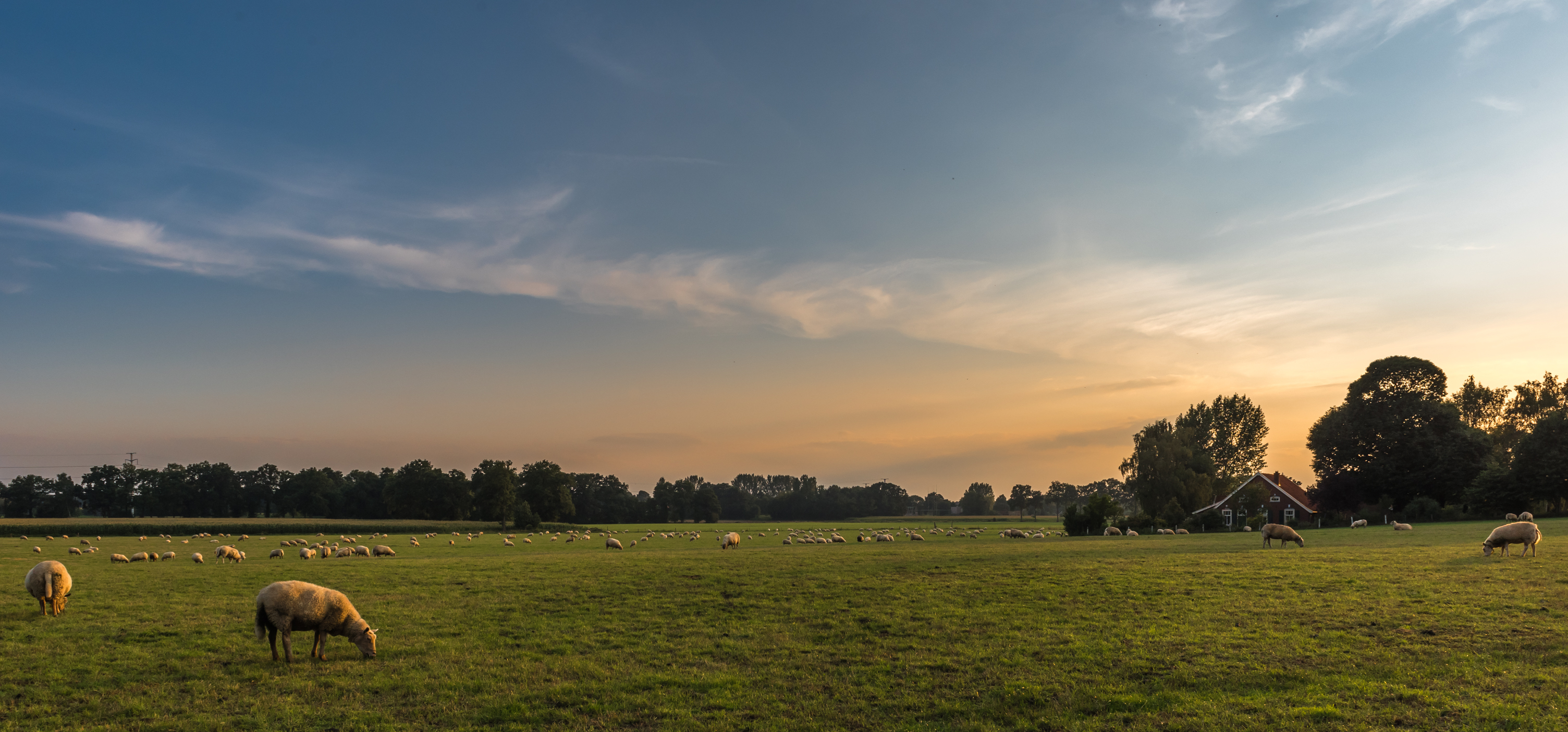 schaapjes-tellen-bij-zonsondergang