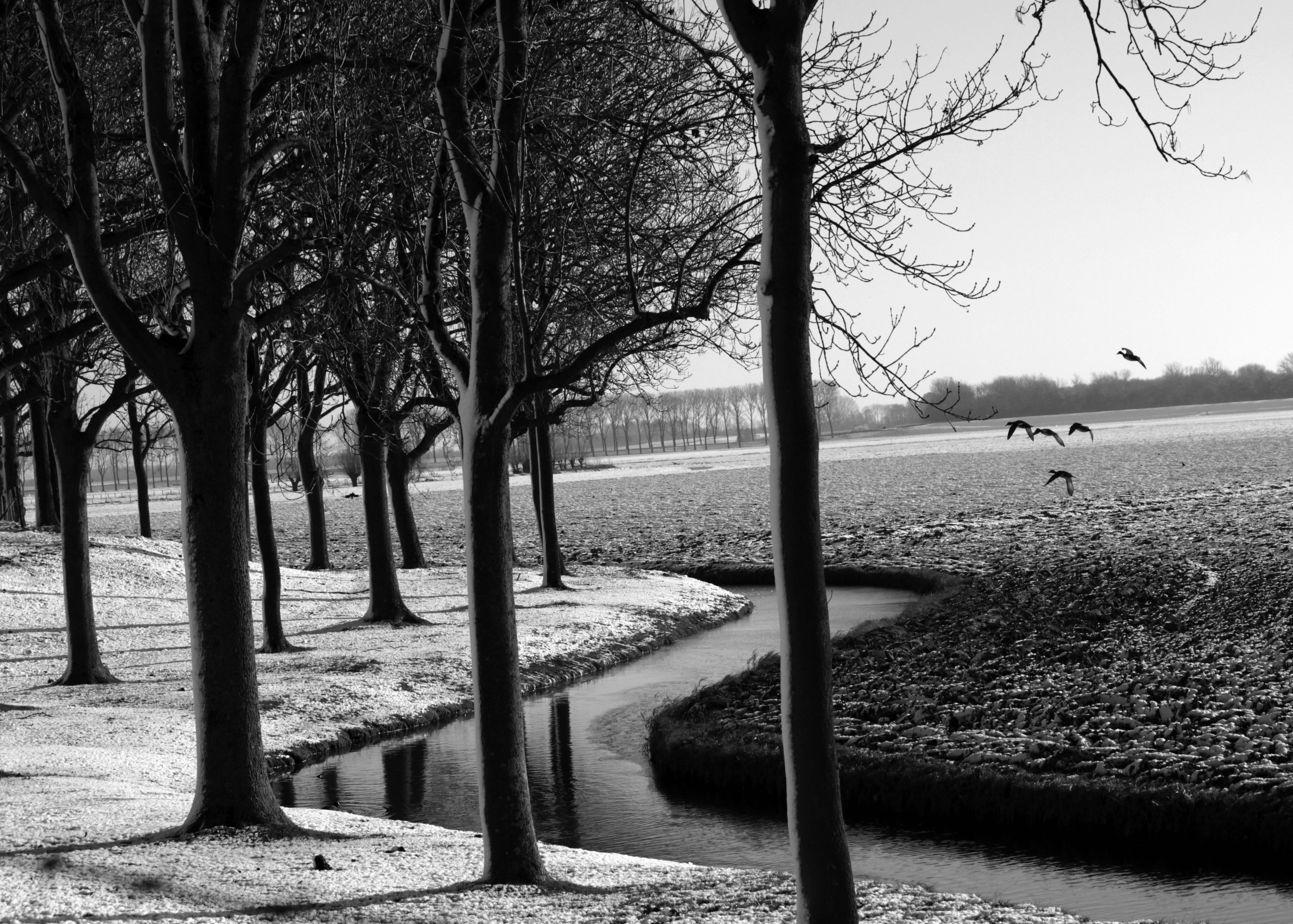 polder-in-de-sneeuw-2