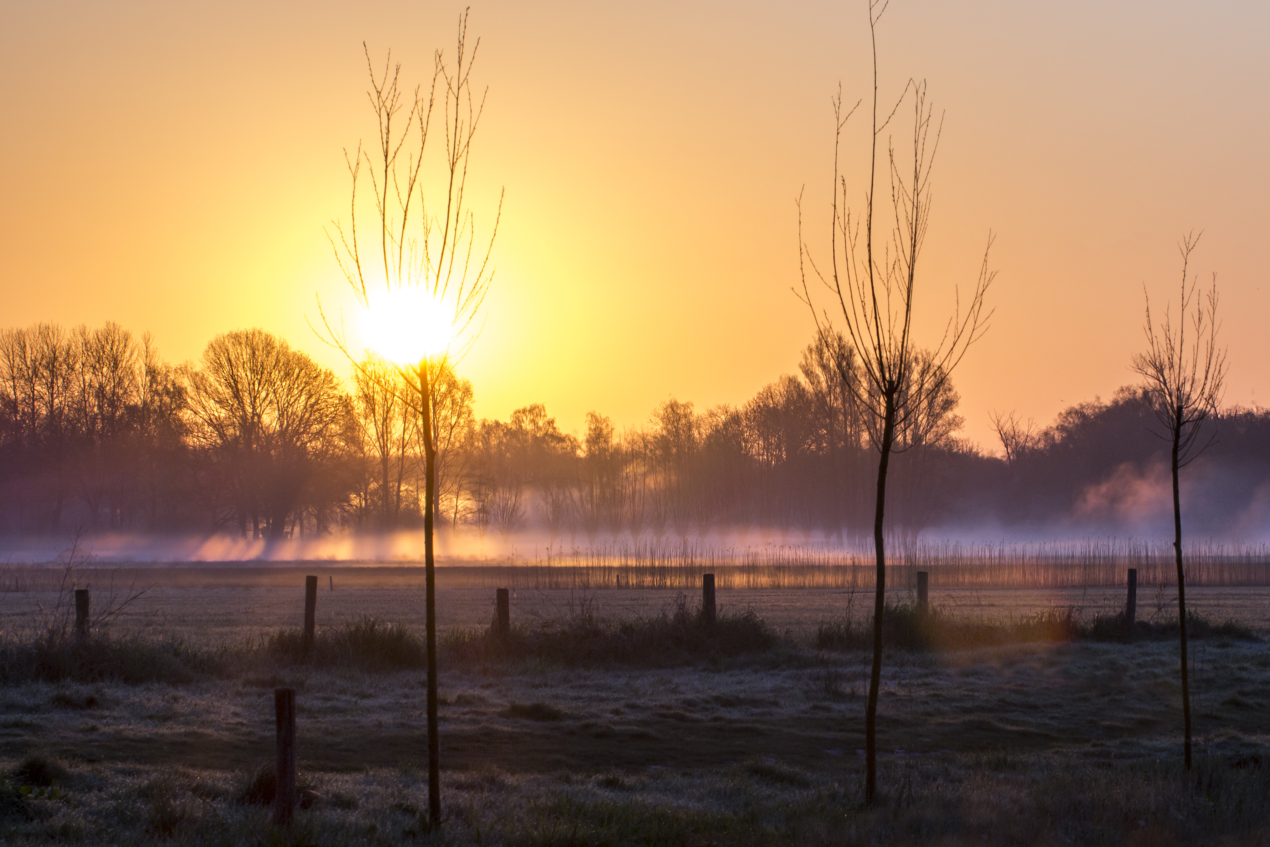 de-zon-in-het-ochtendgloren