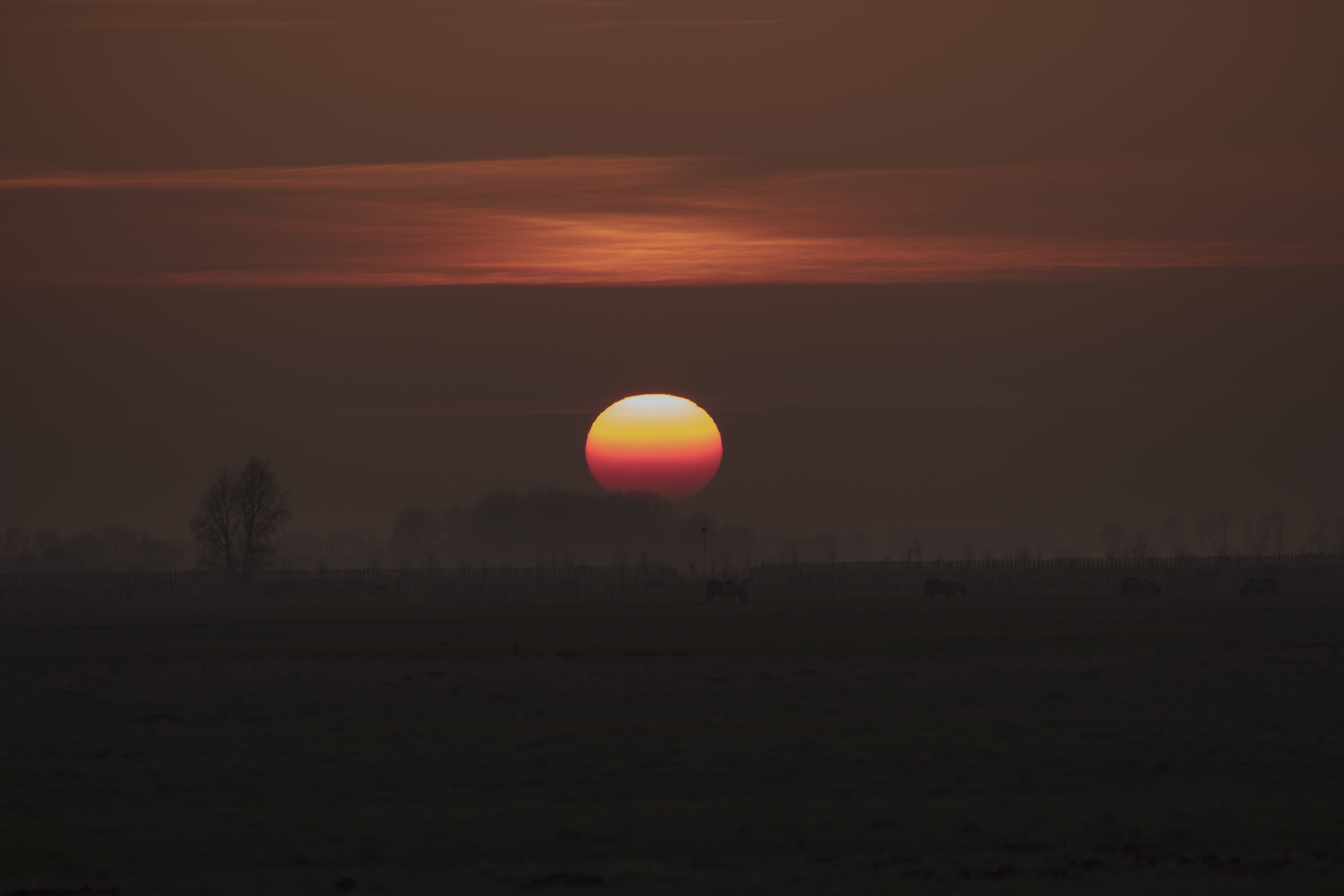 de-zon-ging-op-een-prachtige-manier-onder