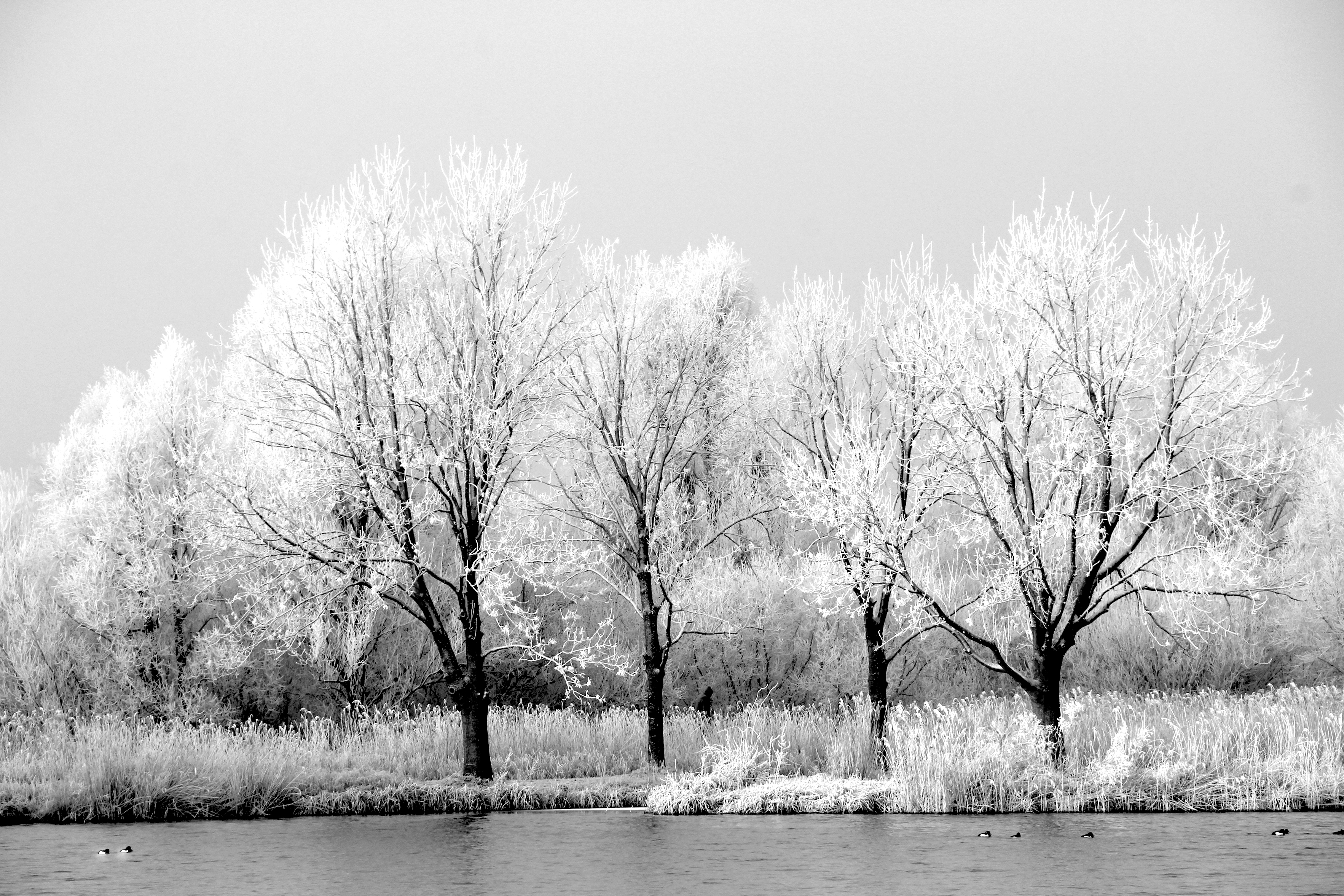 lonely-stroller-noord-aa
