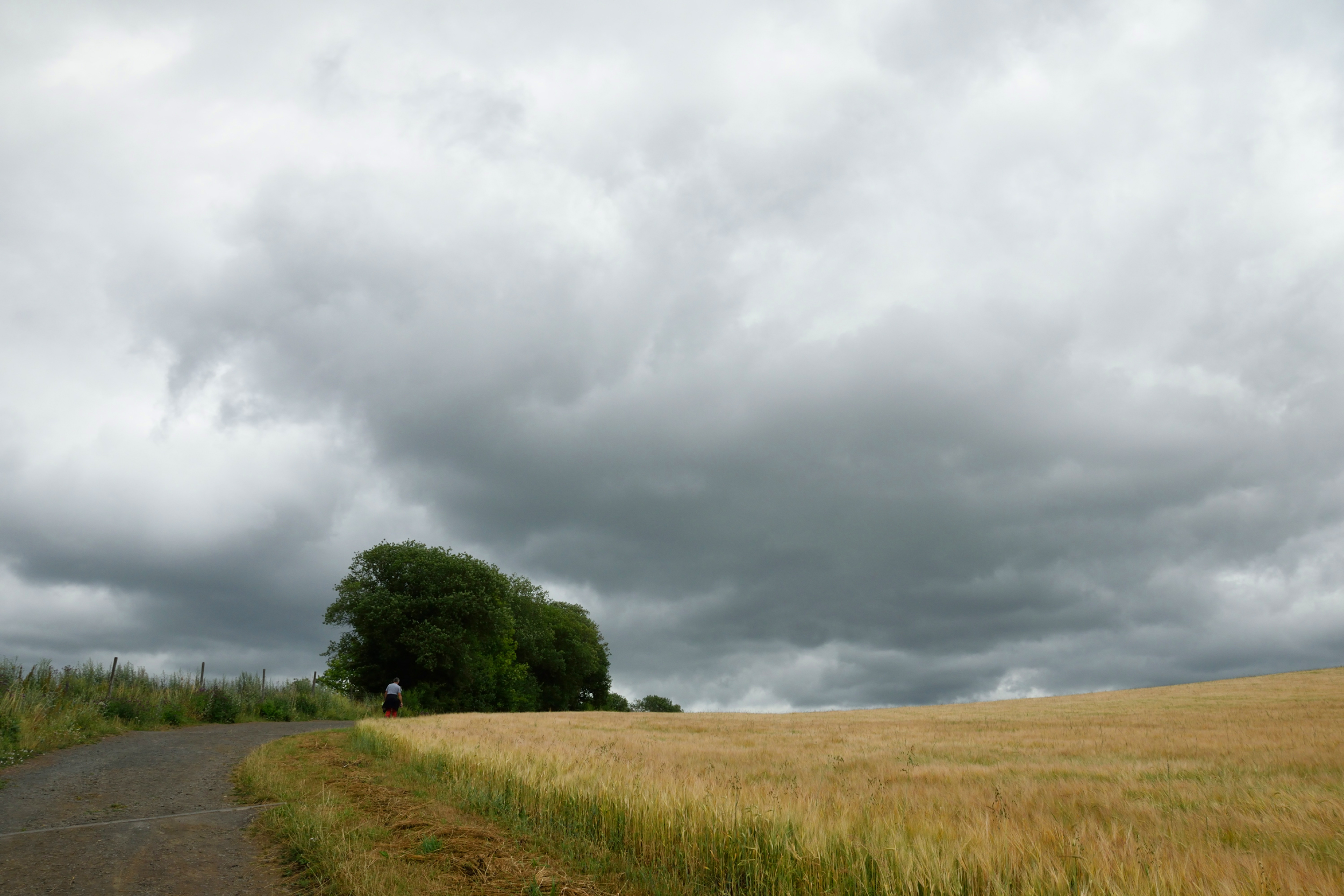 eenzame-wandelaar-in-de-eifel