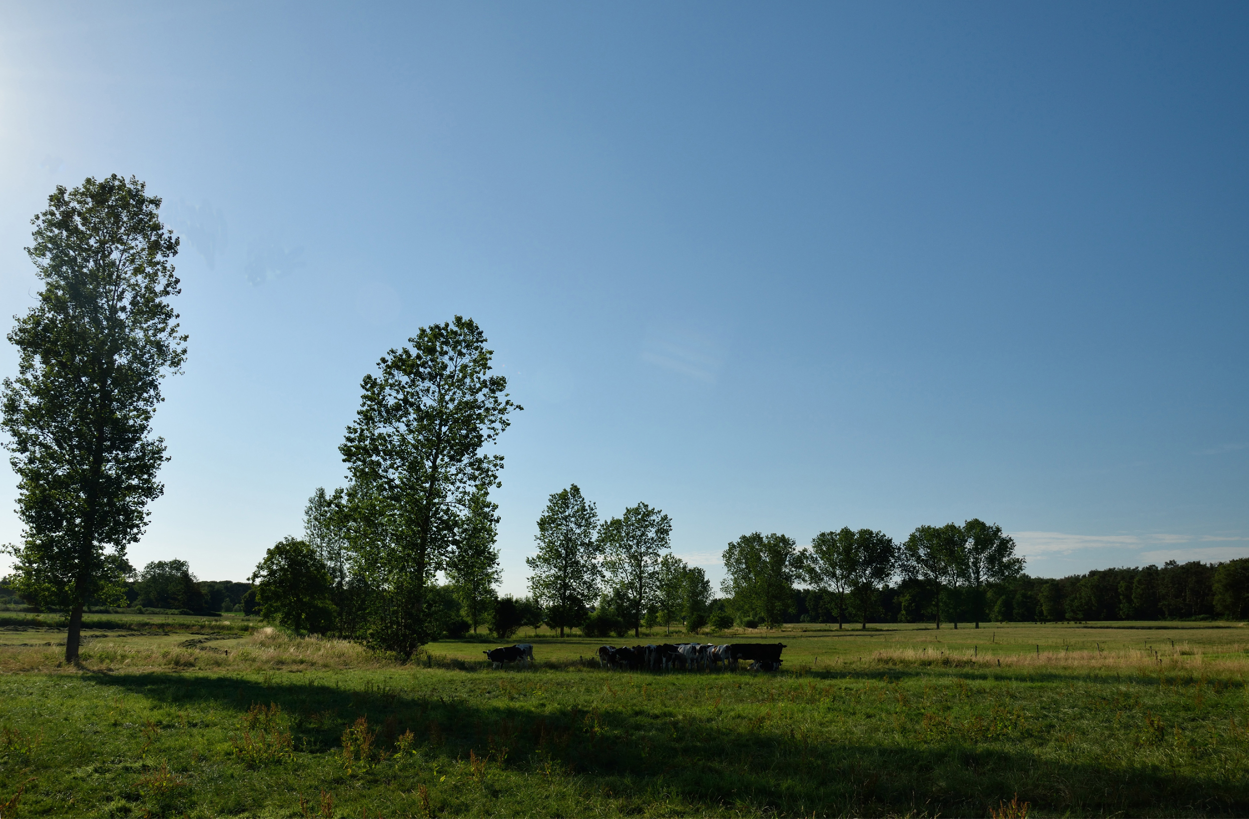 zomeravond-in-vlaanderen