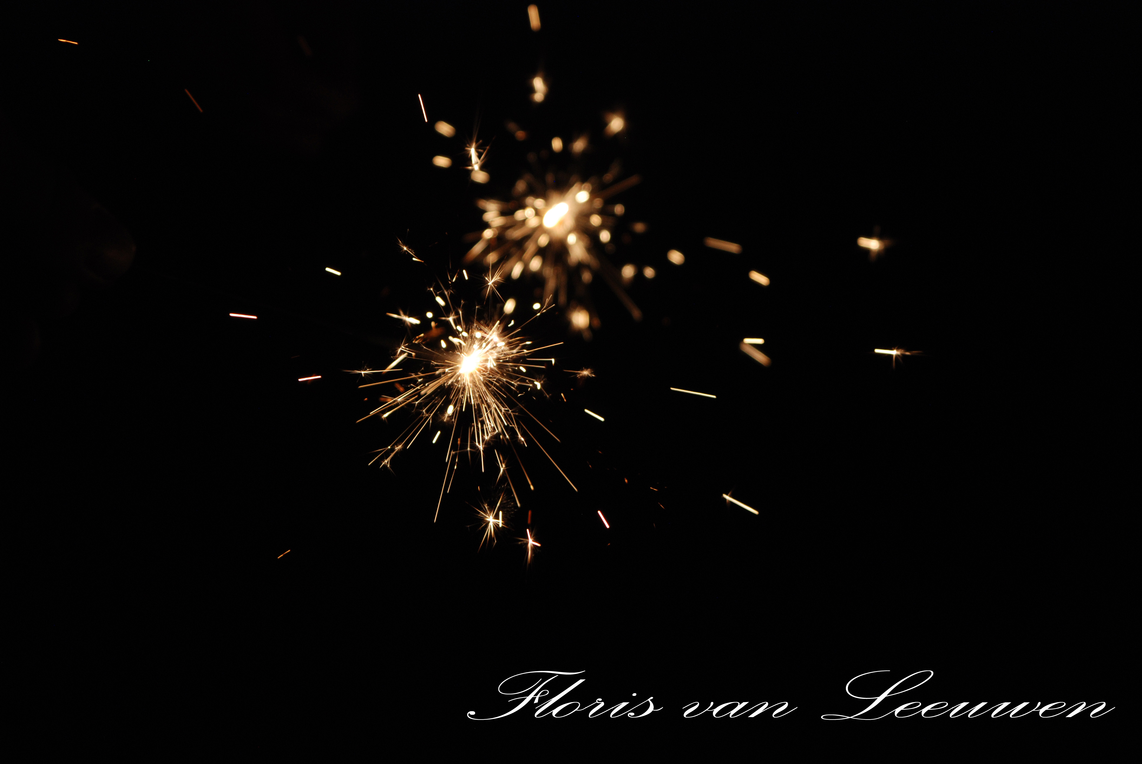 playing-with-the-stars