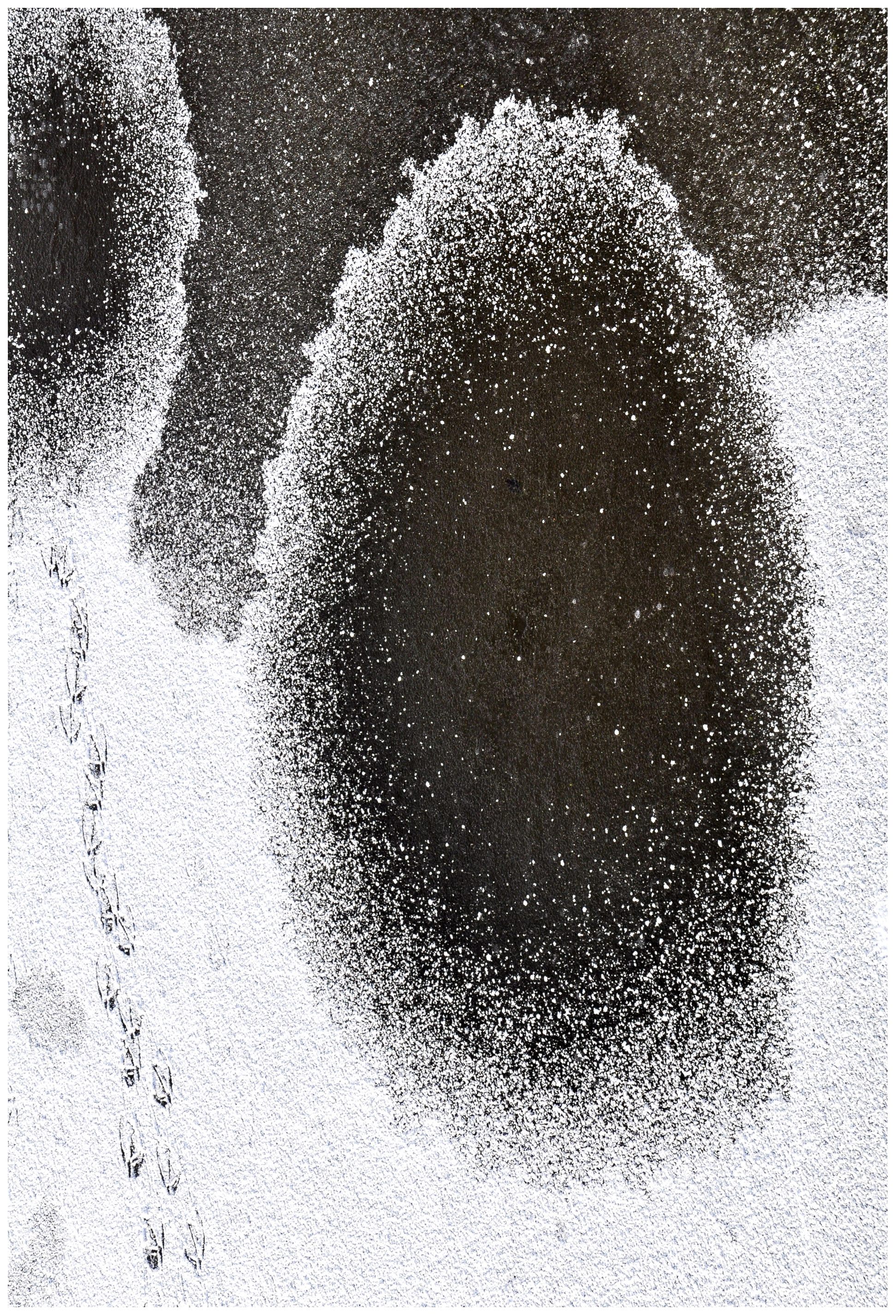 voetstappen-in-de-sneeuw