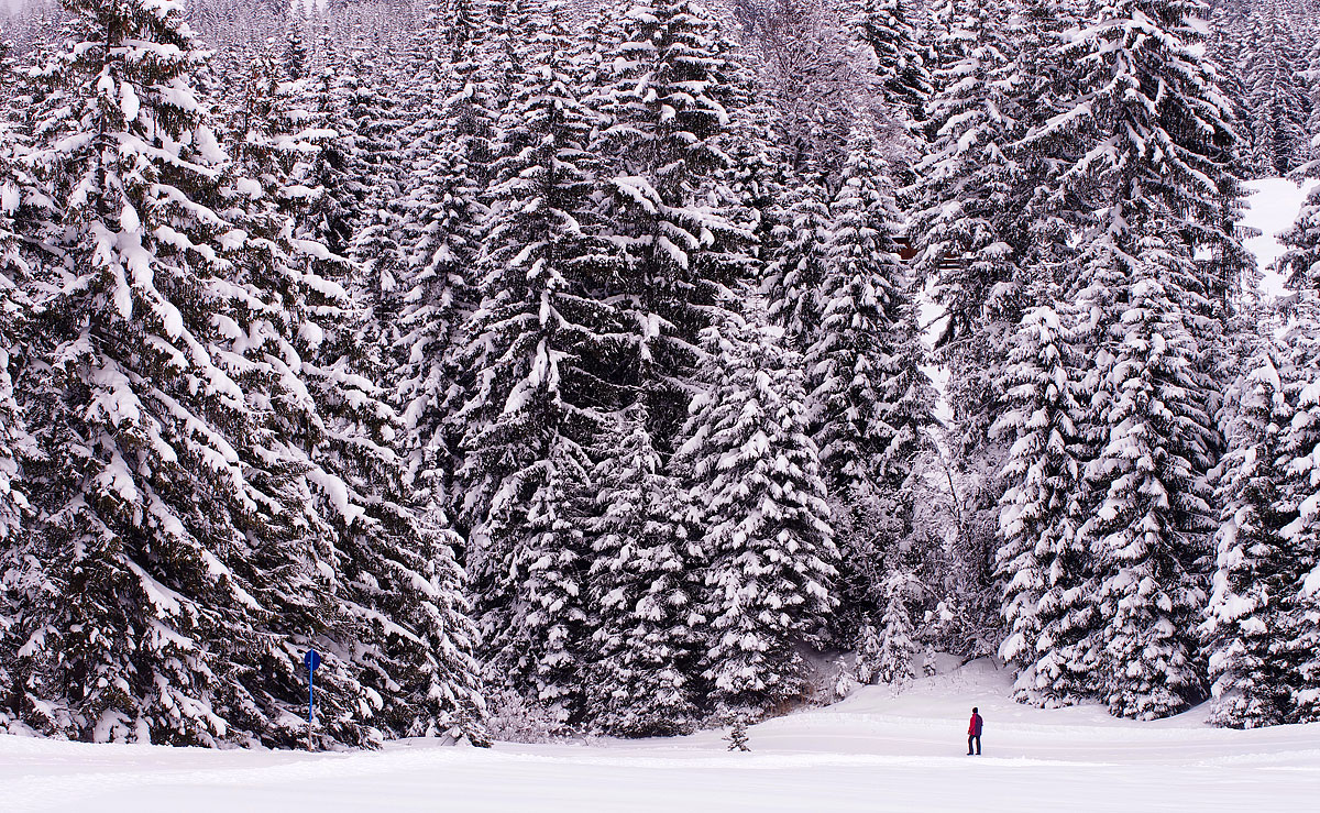 de-mens-in-die-machtige-natuur
