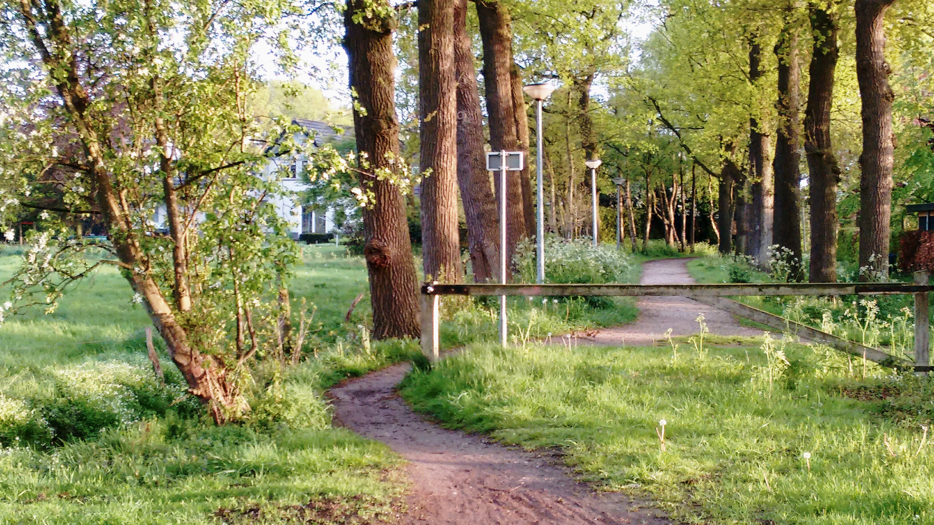 een-pad-in-het-groen