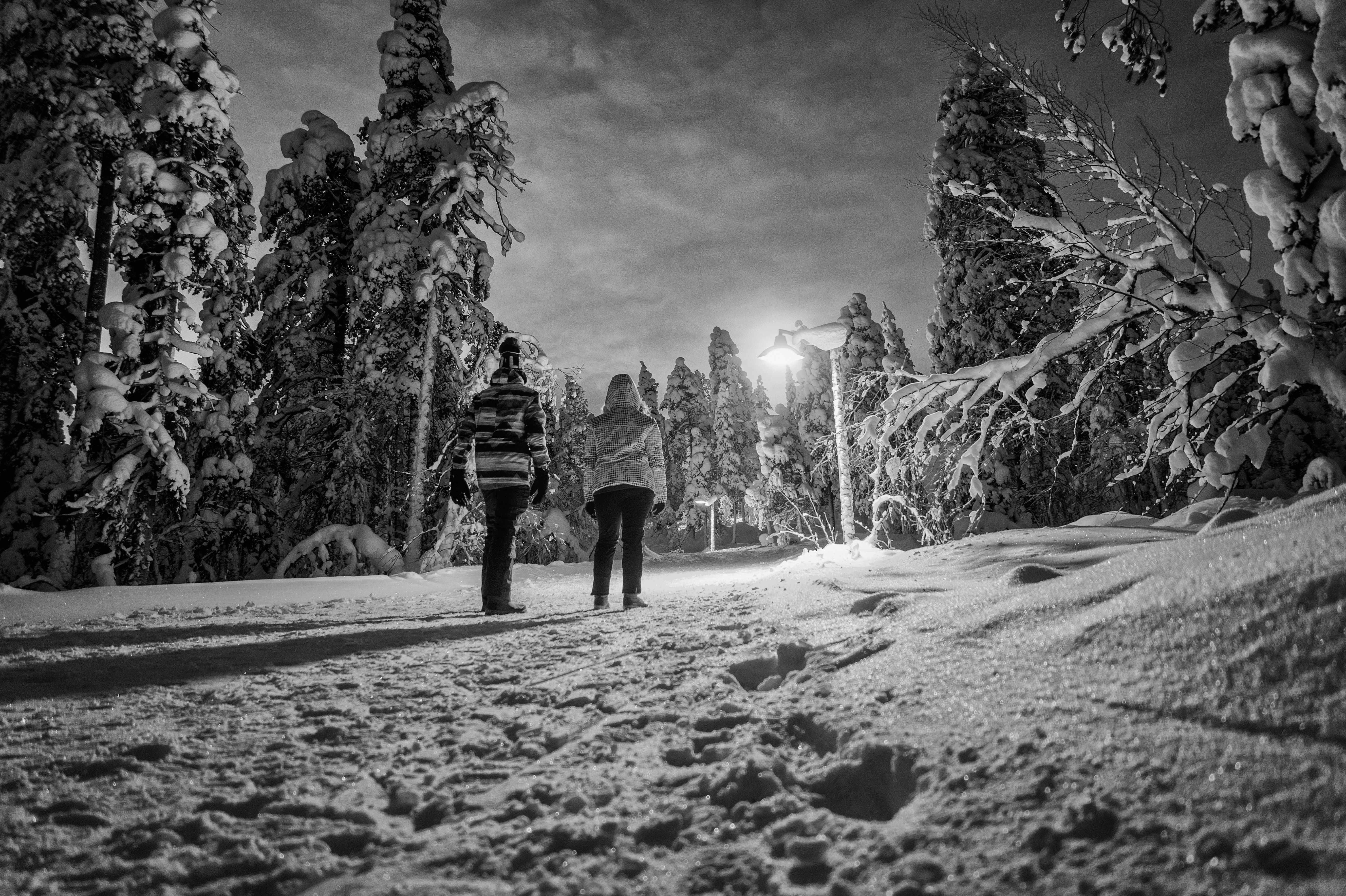 walking-in-a-winter-wonderland-1