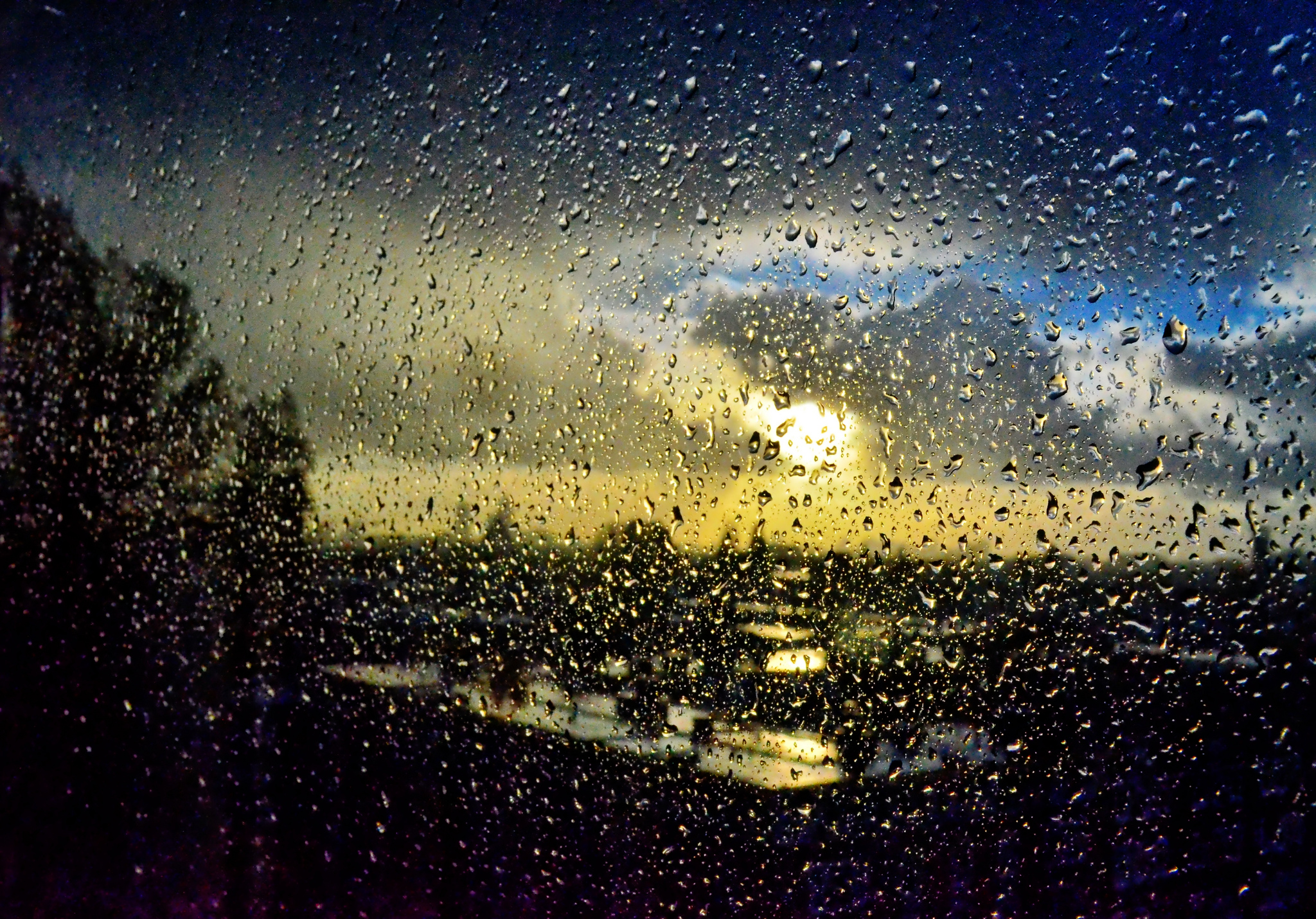 the-rain-against-my-window