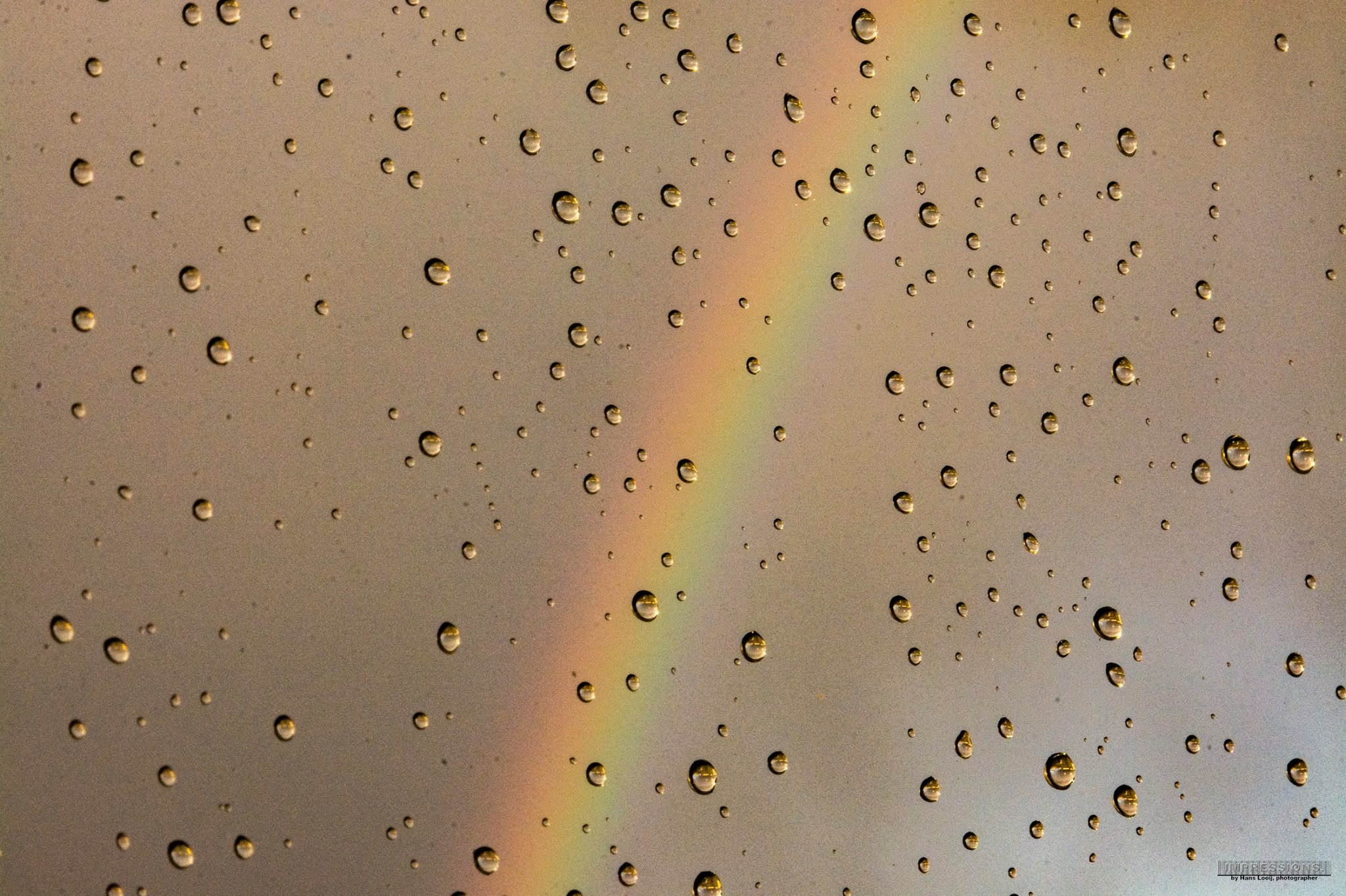 druppels-na-regen-komt-zonneschijn