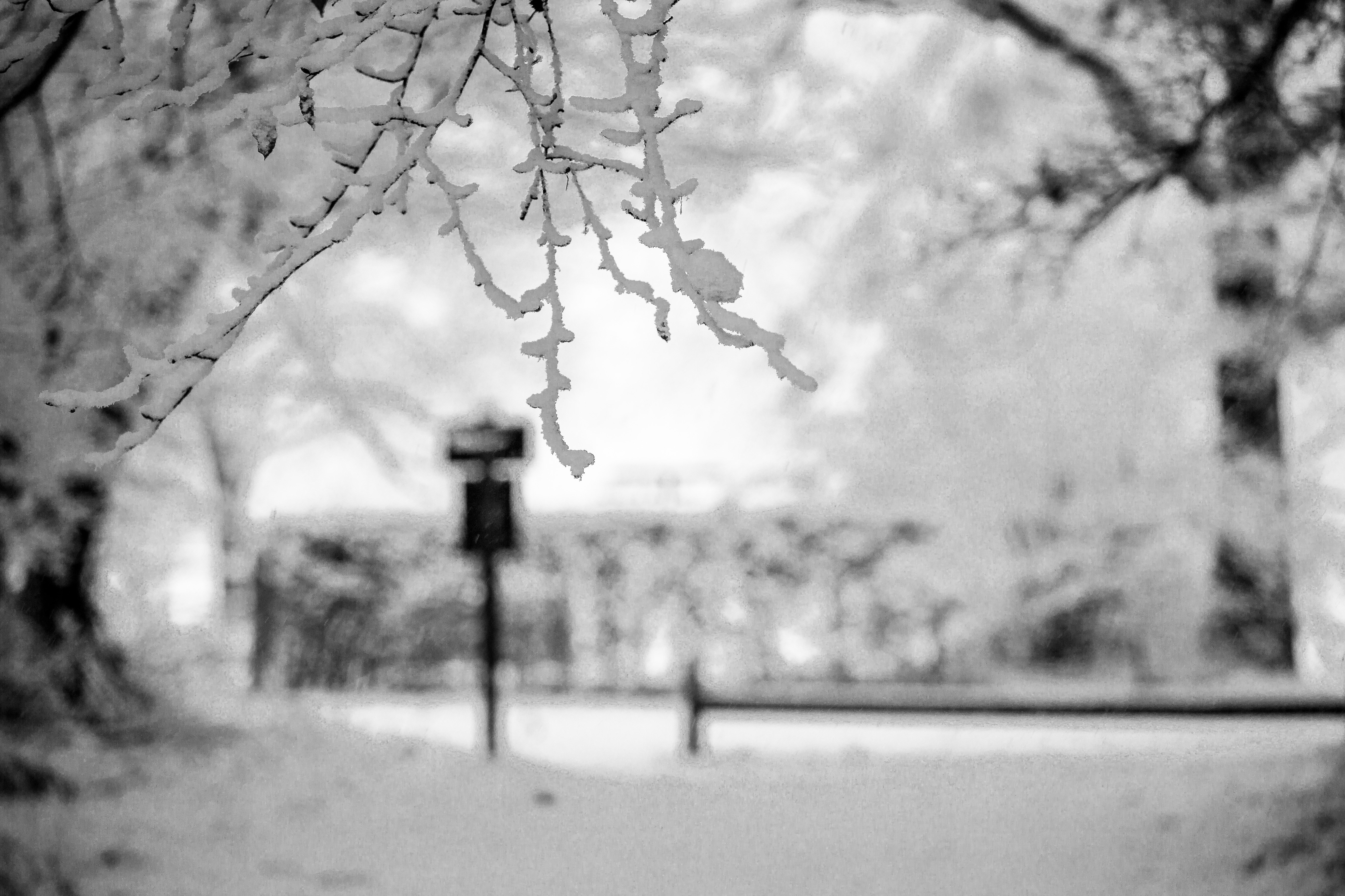 winter-op-het-grooteveld