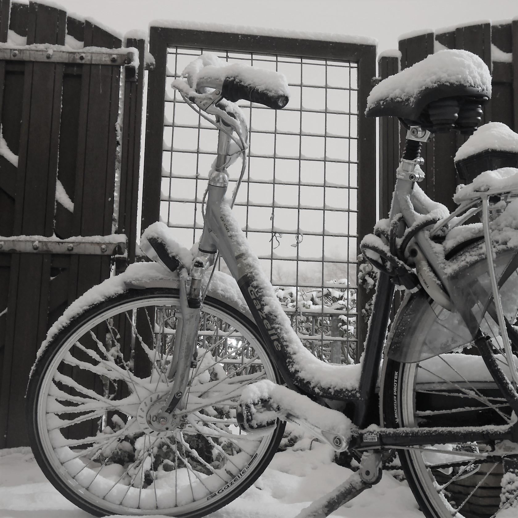 winter-wonderland-in-papendrecht-zuid-holland