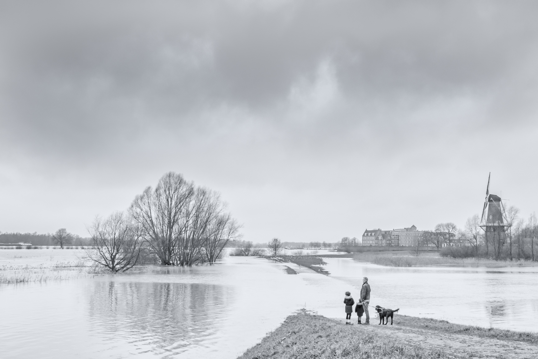 het-ondergelopen-pad