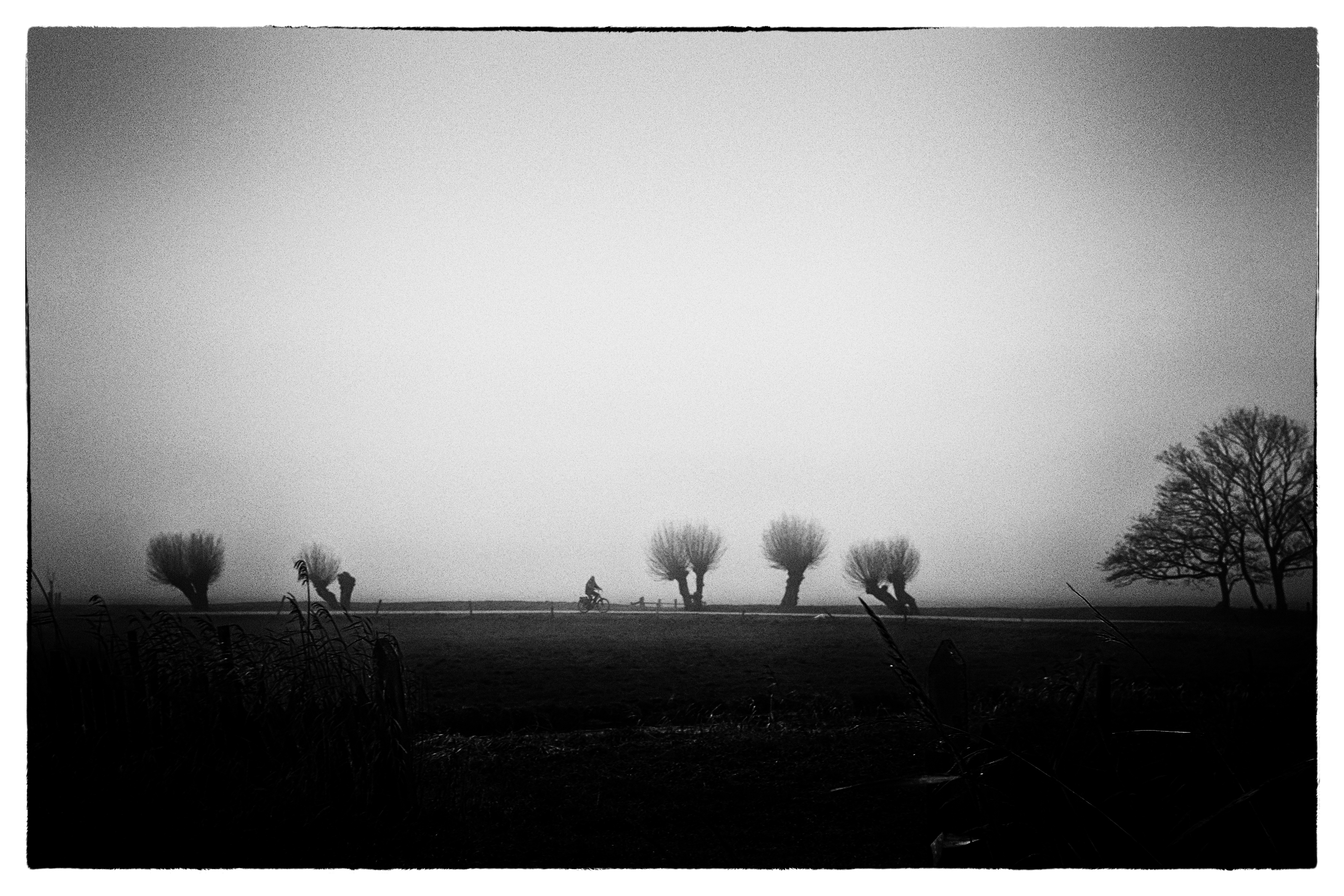 winter-in-zwart-wit-6