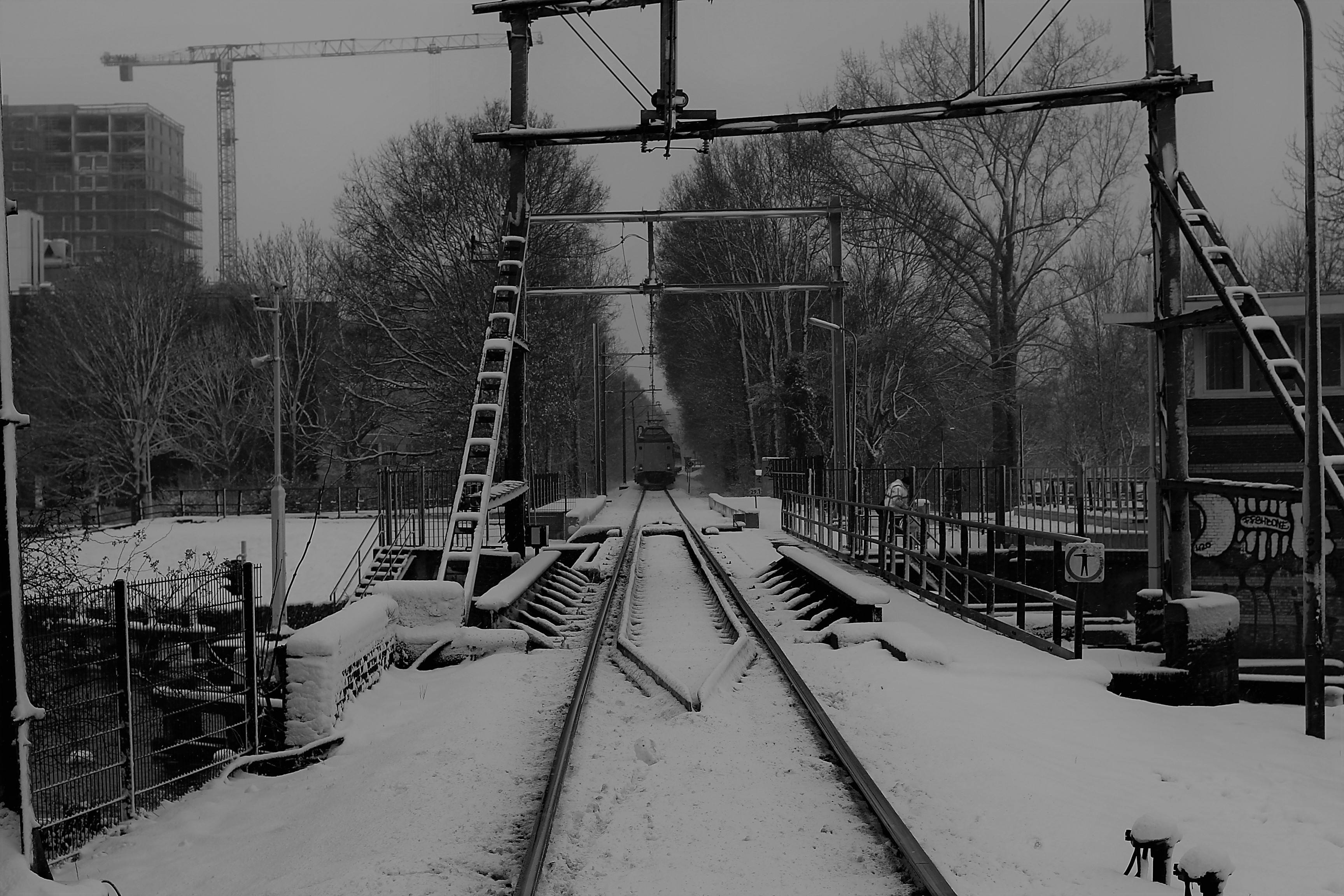 de-laatste-trein-die-nog-reed