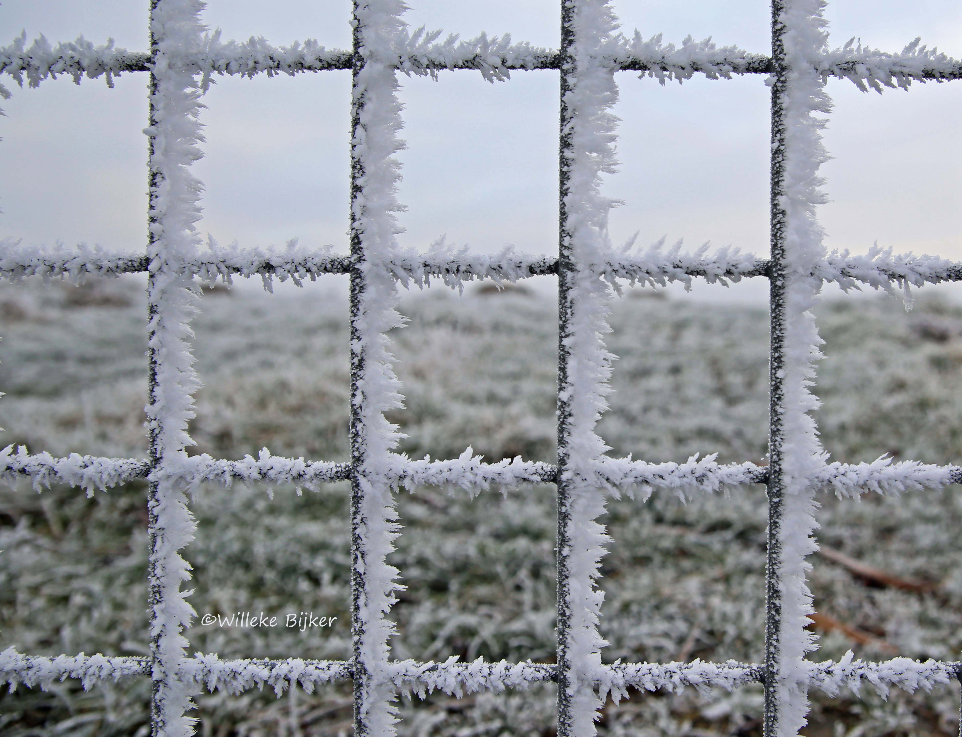 ijzig-hekwerk