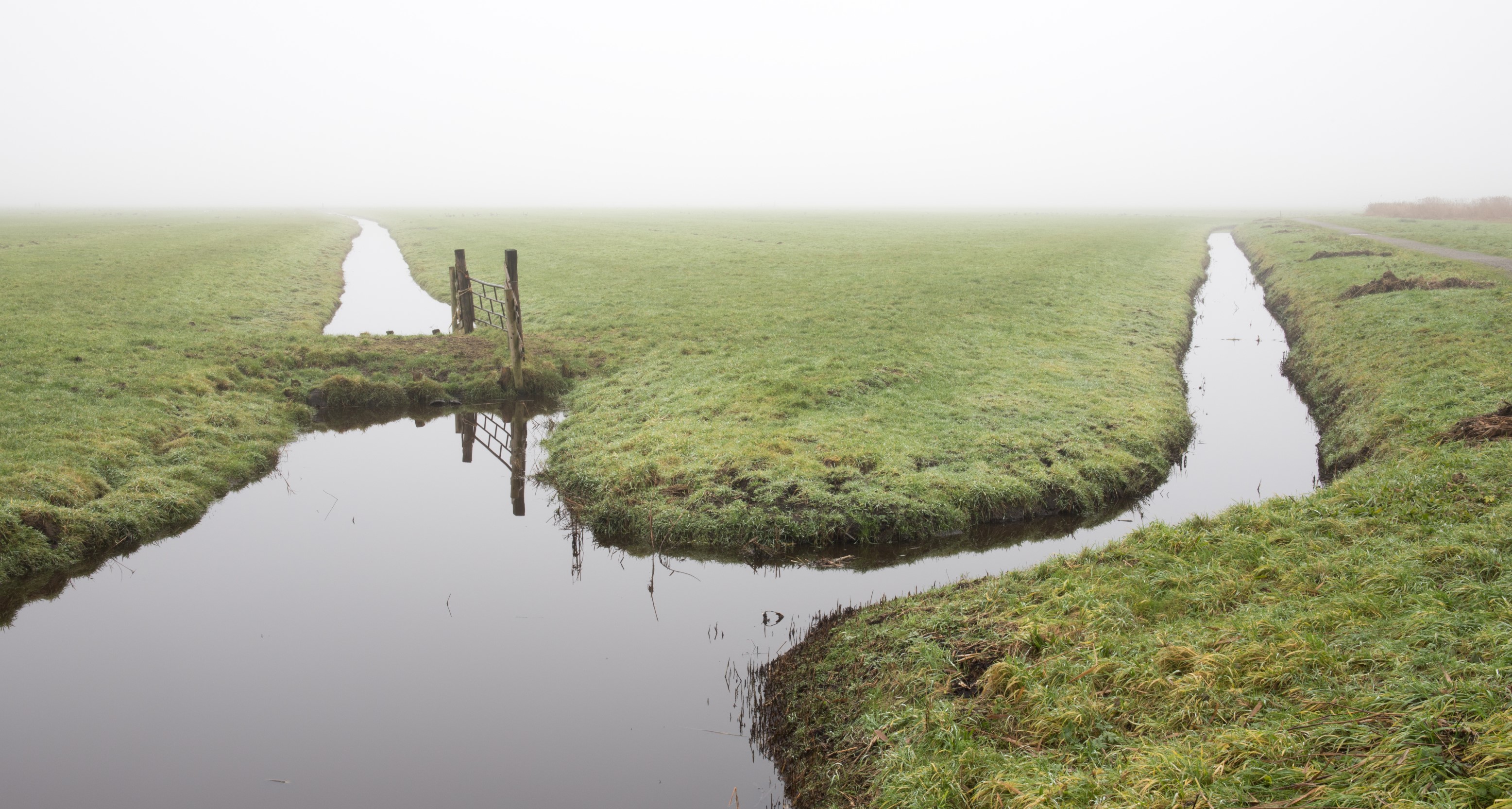 landelijk-amsterdam-noord-in-de-mist