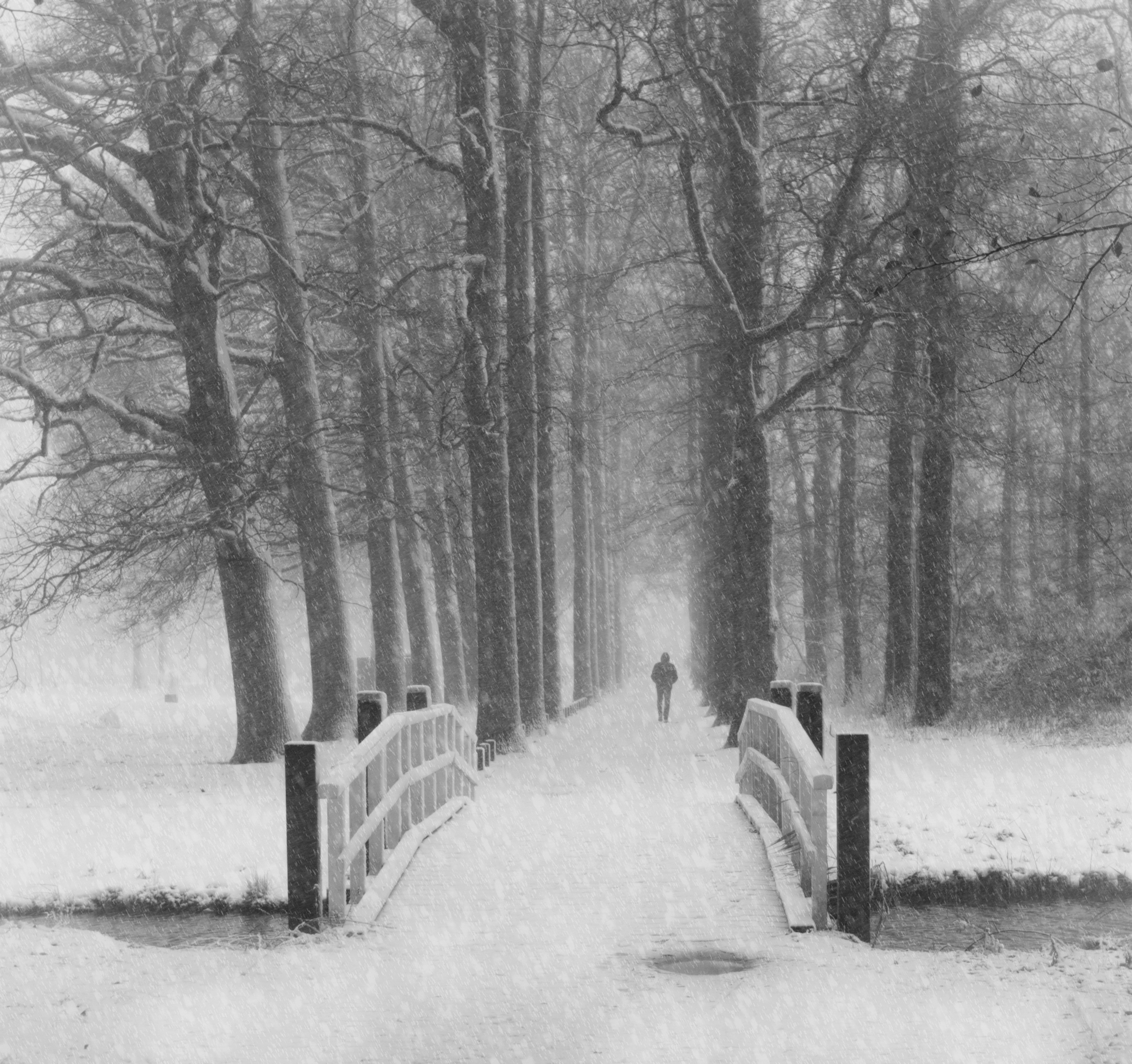 de-stille-omhulling-van-sneeuw