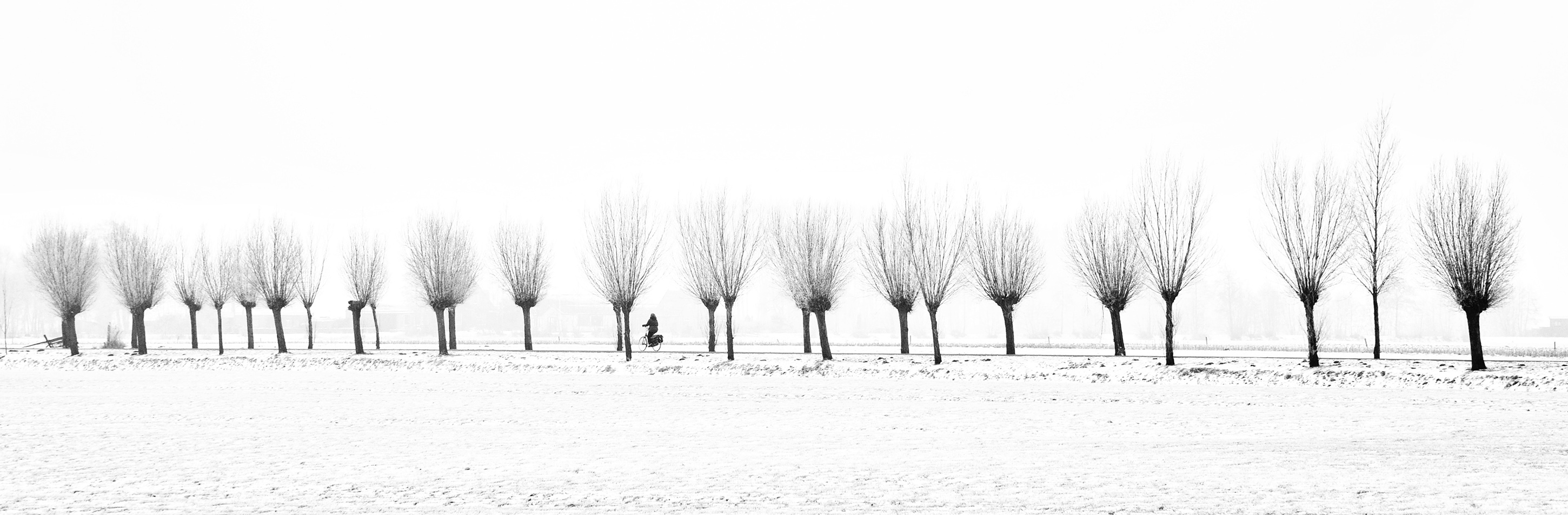 fietsen-tussen-de-wilgen