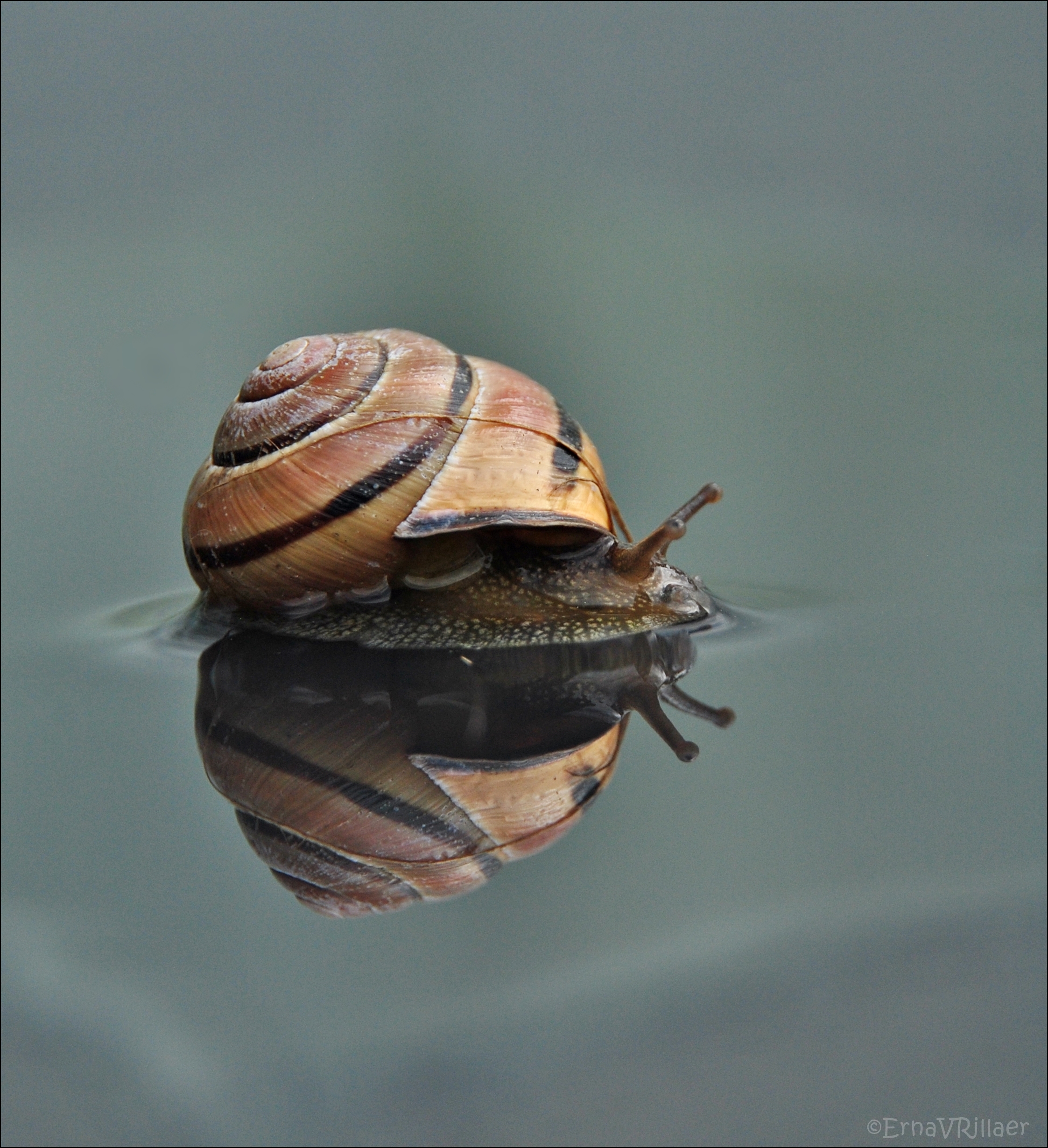 thuis-is-het-warm-en-droog
