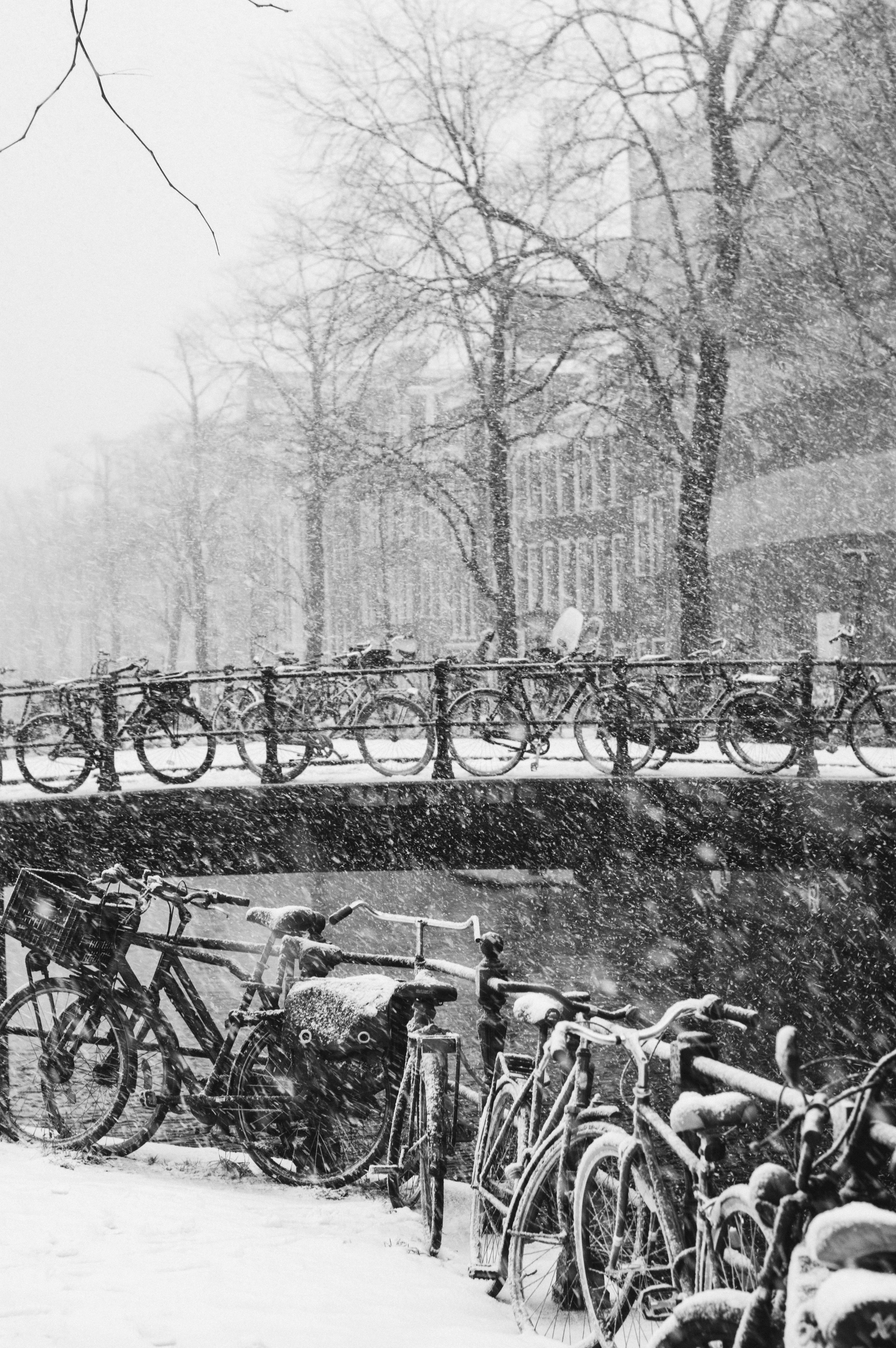 winter-op-de-bloemgracht