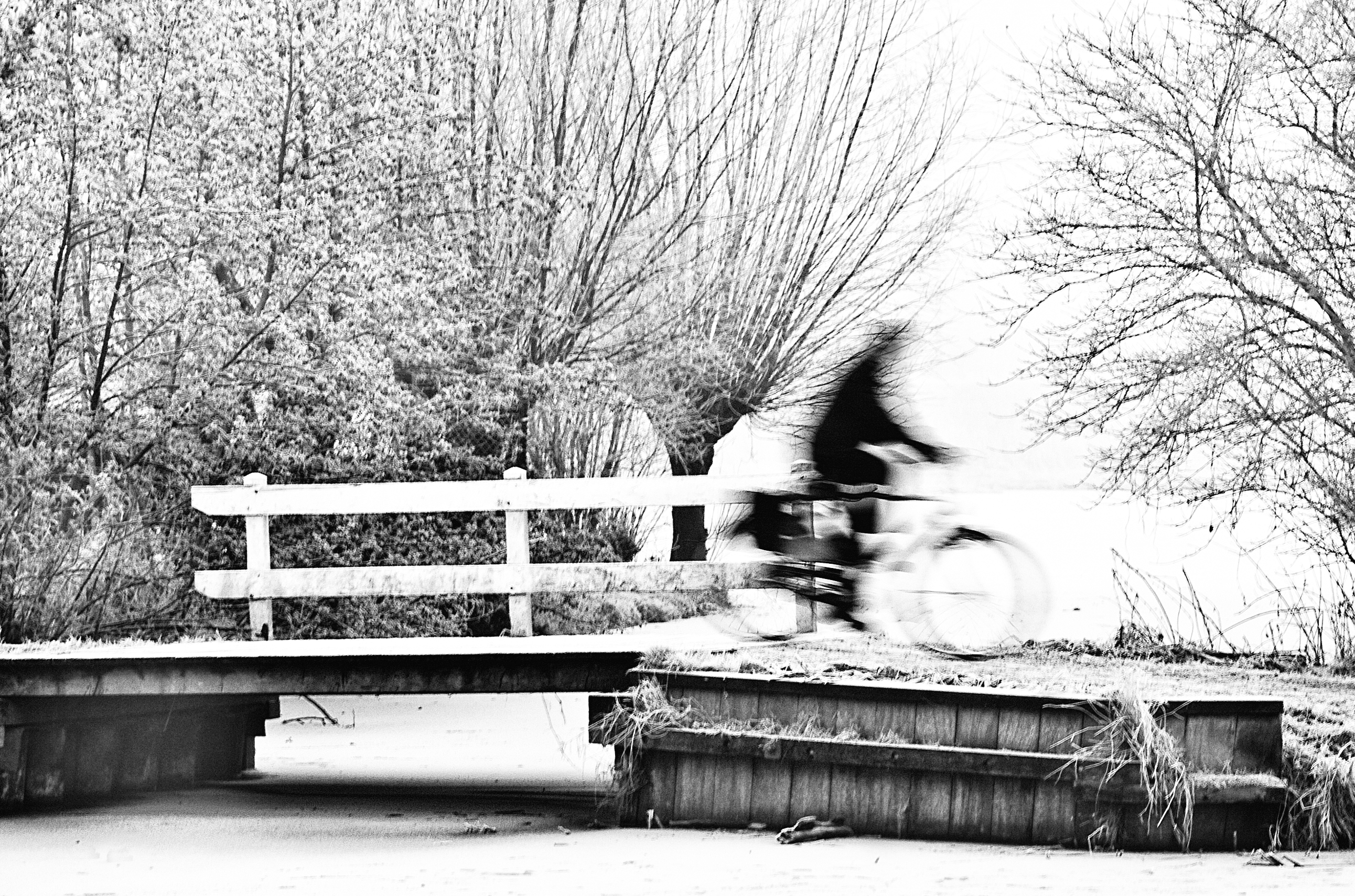 fietser-in-de-sneeuw