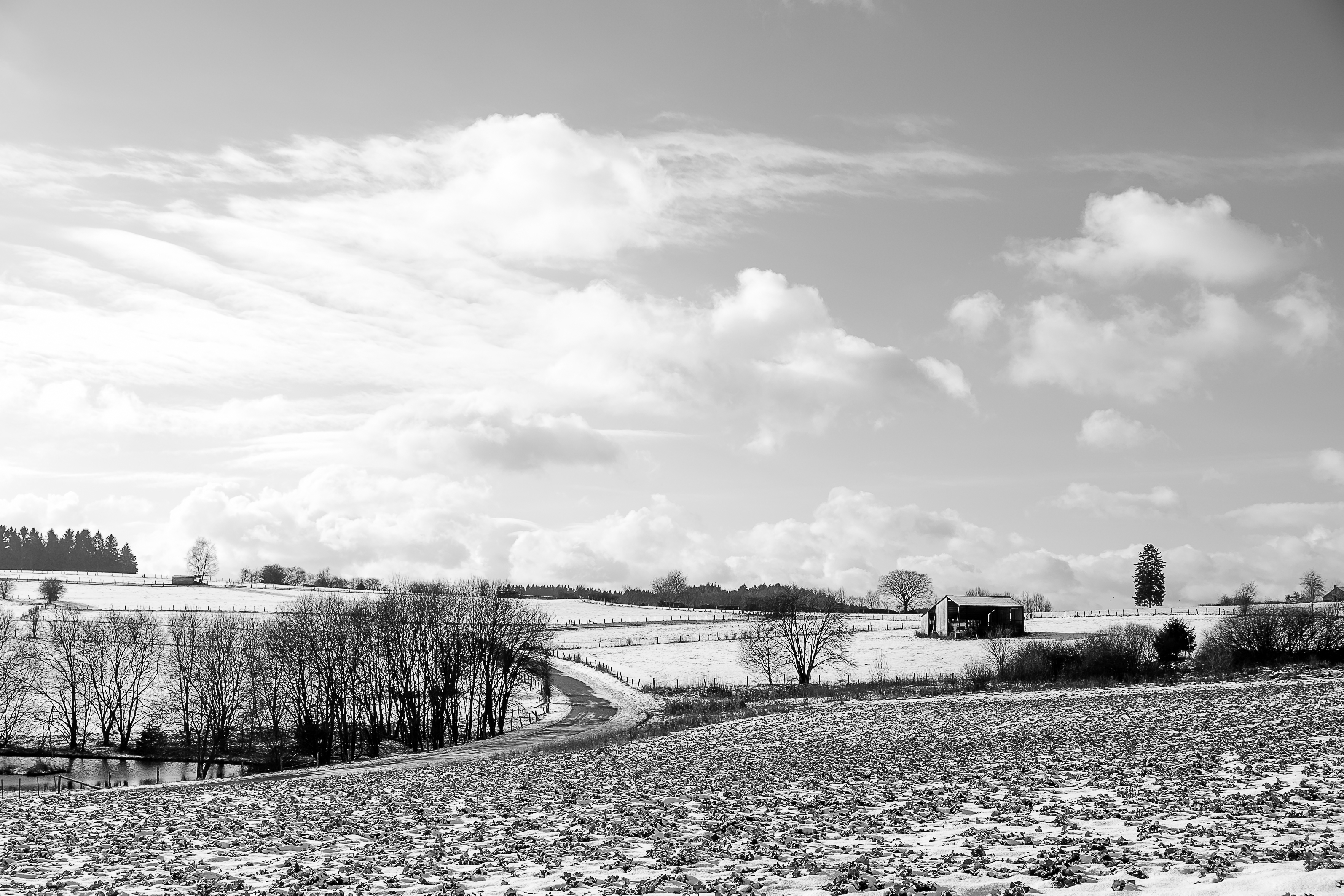 winterlandschap-5