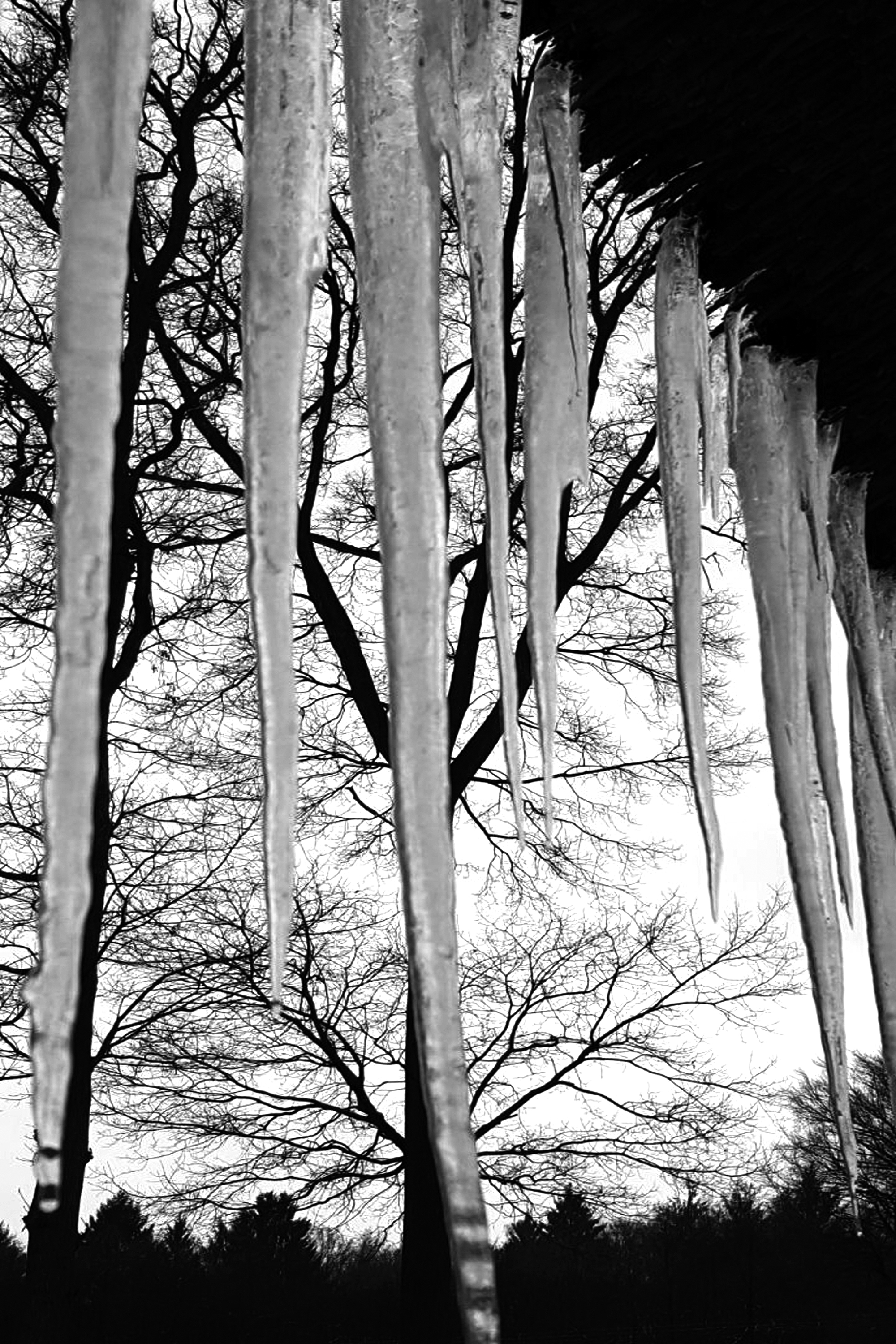 ijspegels-aan-rieten-dak