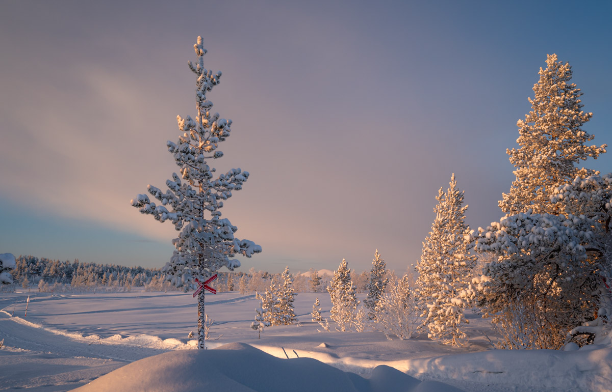 zonsondergang-in-lapland