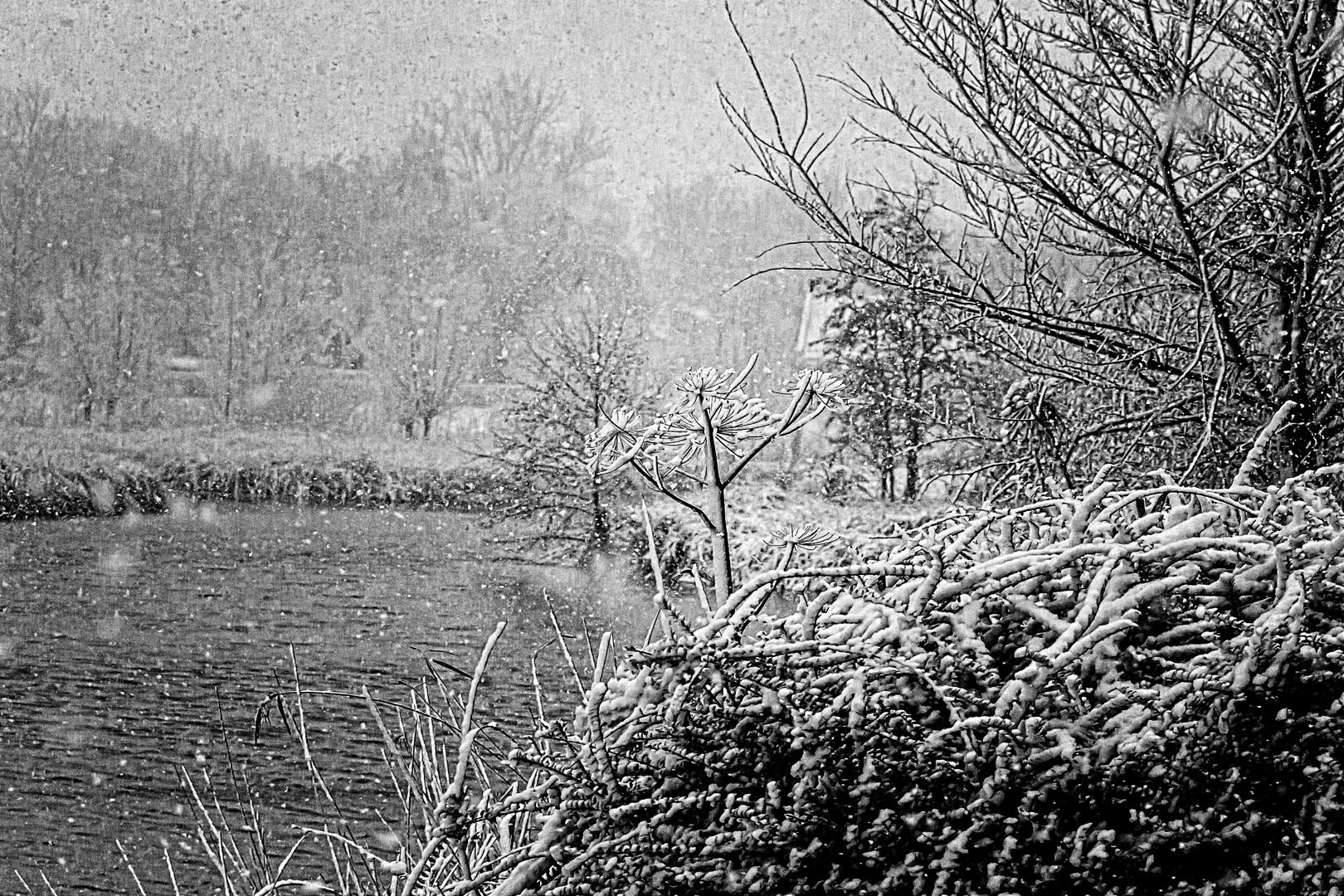tijdens-een-sneeuwbui