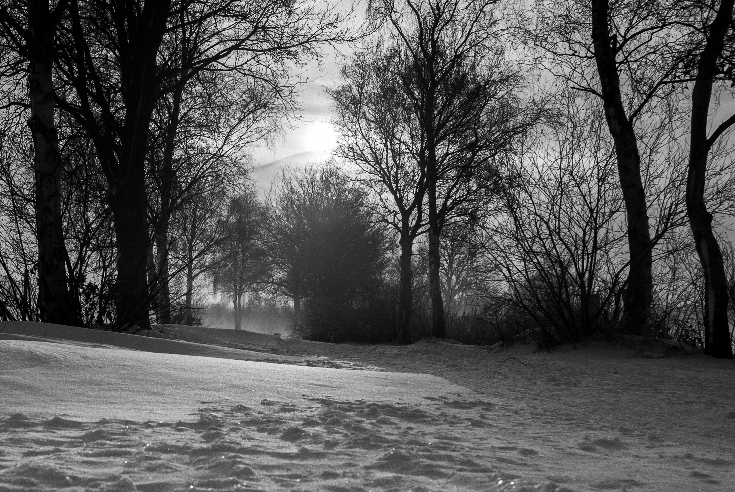 sneeuwlandschap-in-tegenlicht