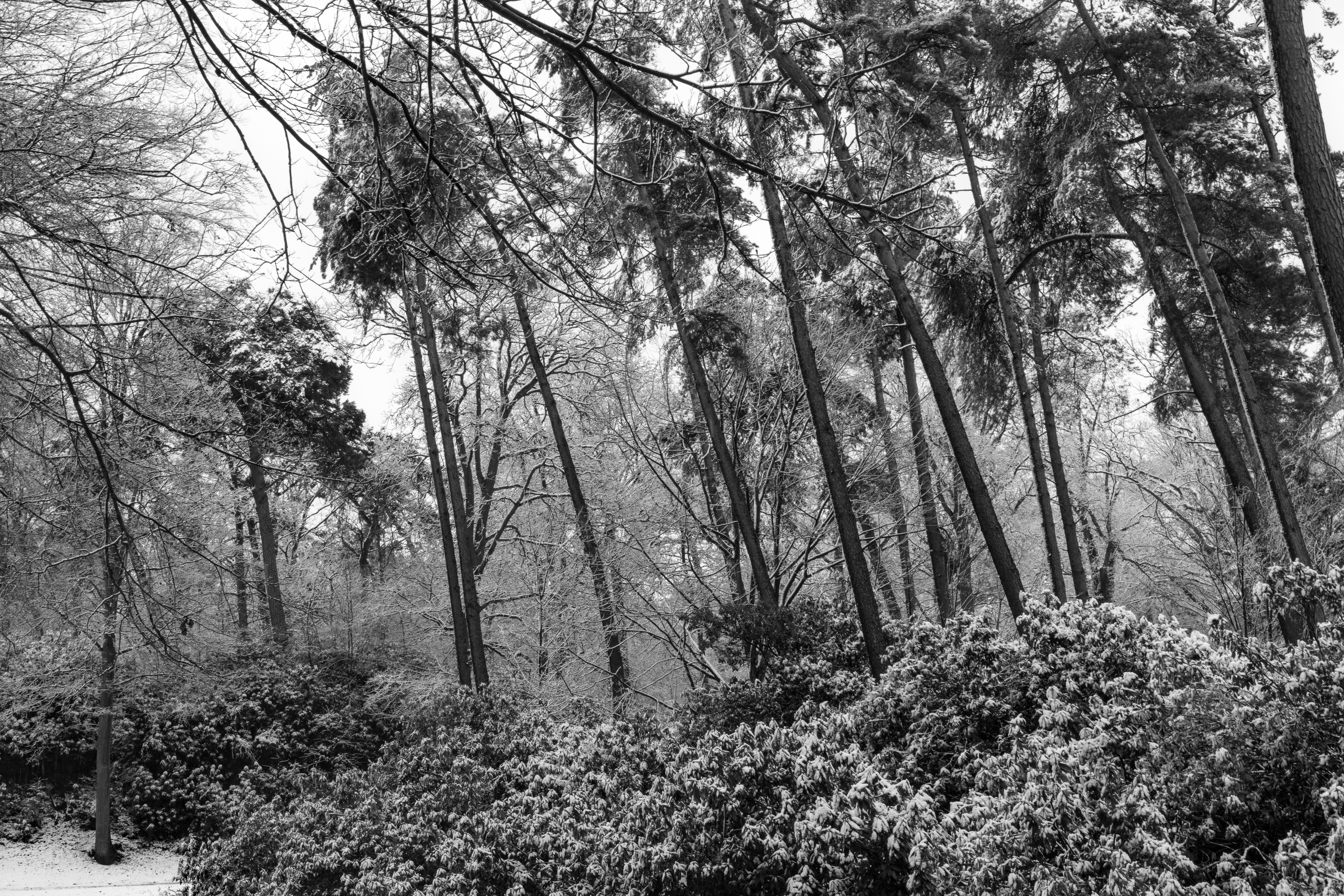 winter-in-antwerpen-noord