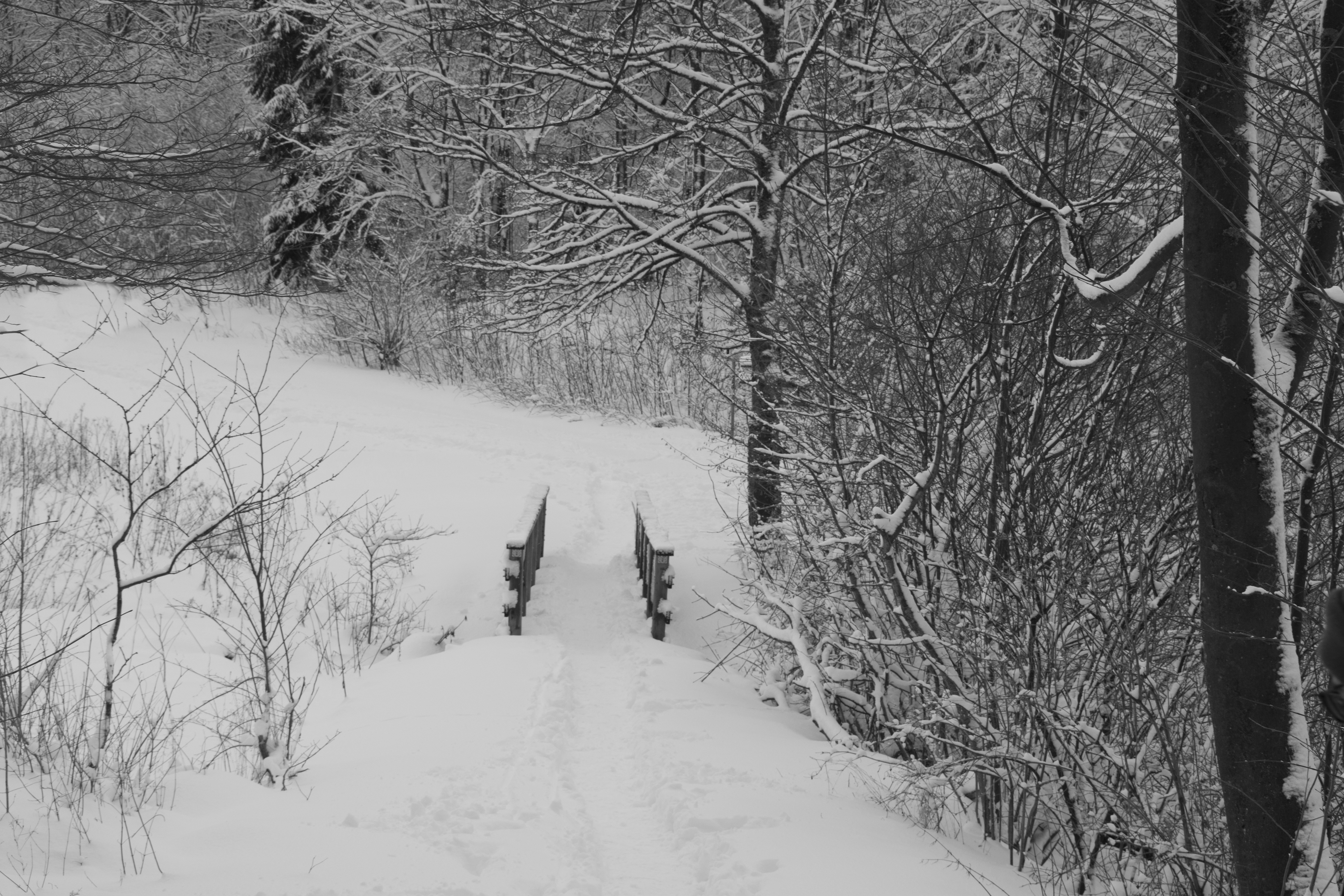winterberg-wat-ben-je-mooi