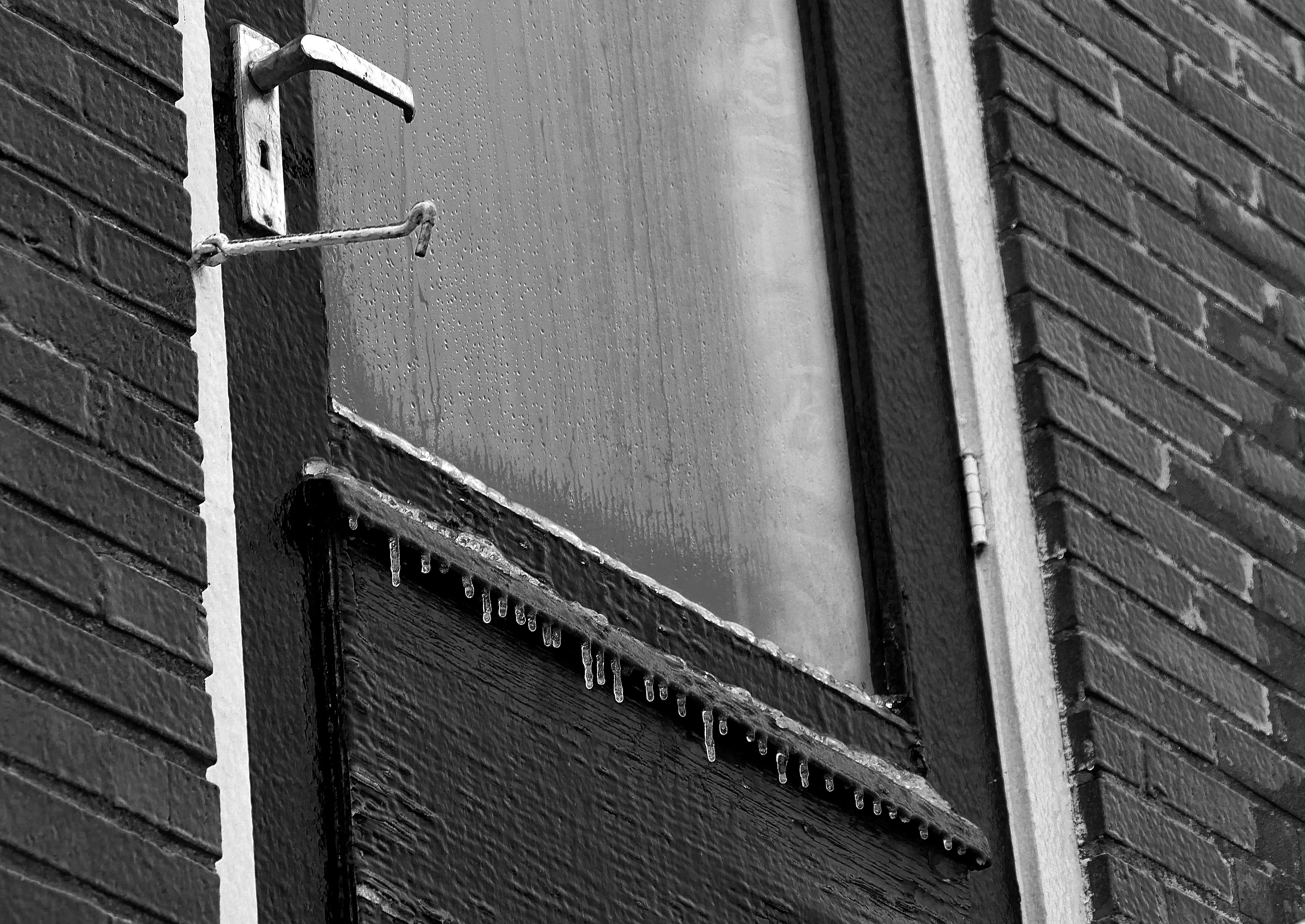 winter-in-zwart-wit-0-1