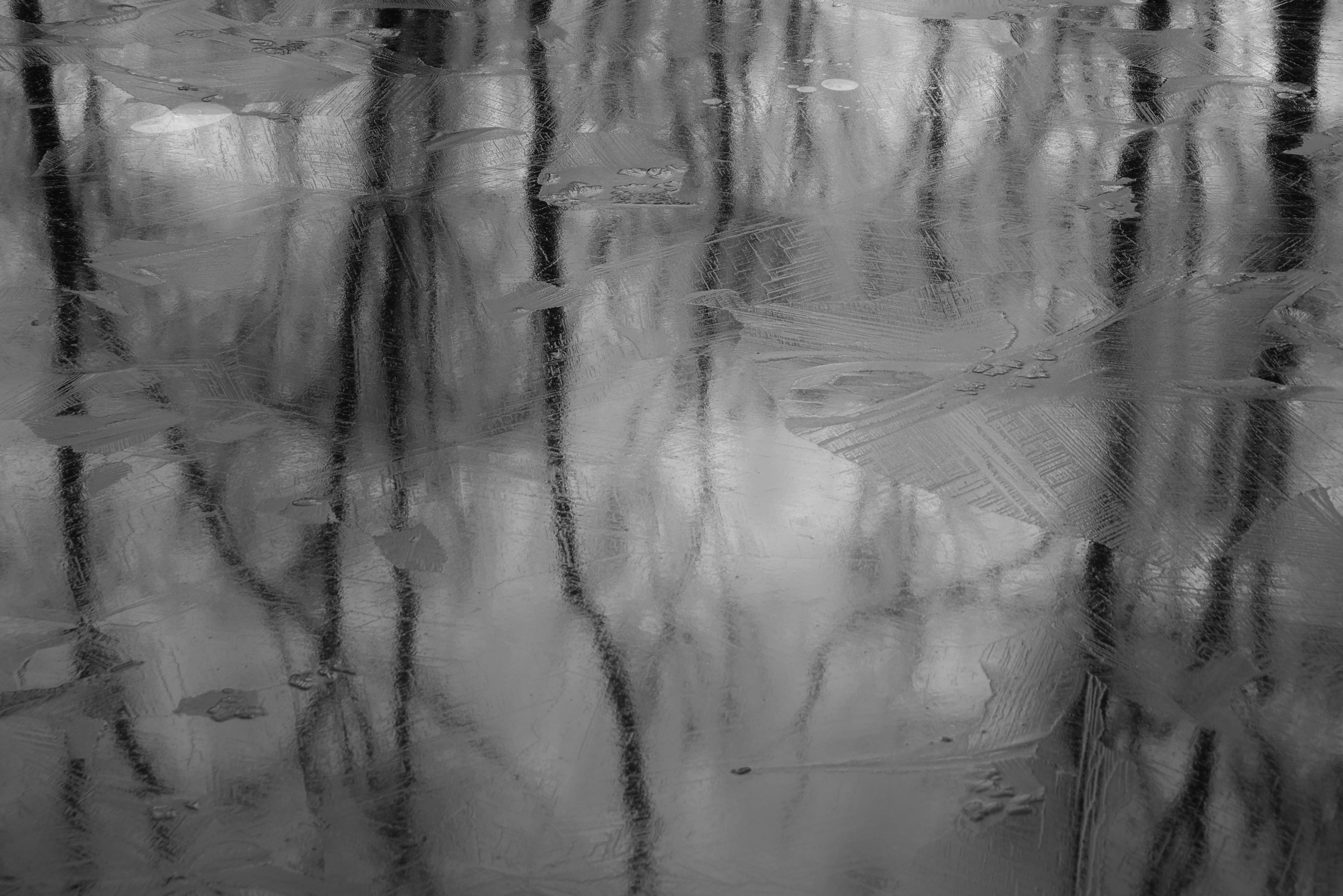 reflectie-van-bomen-op-ijs-in-vijver