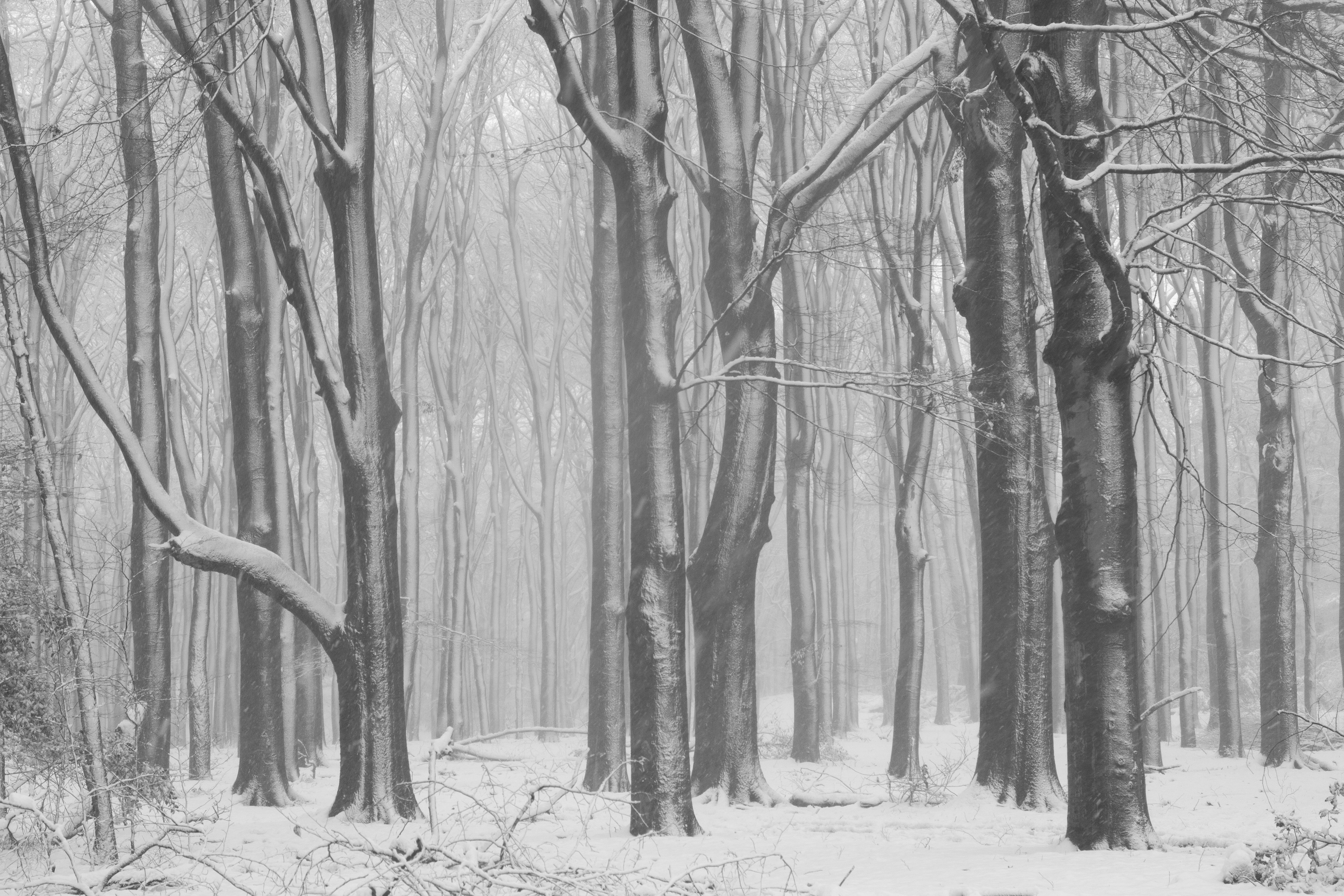 verstild-door-de-sneeuw