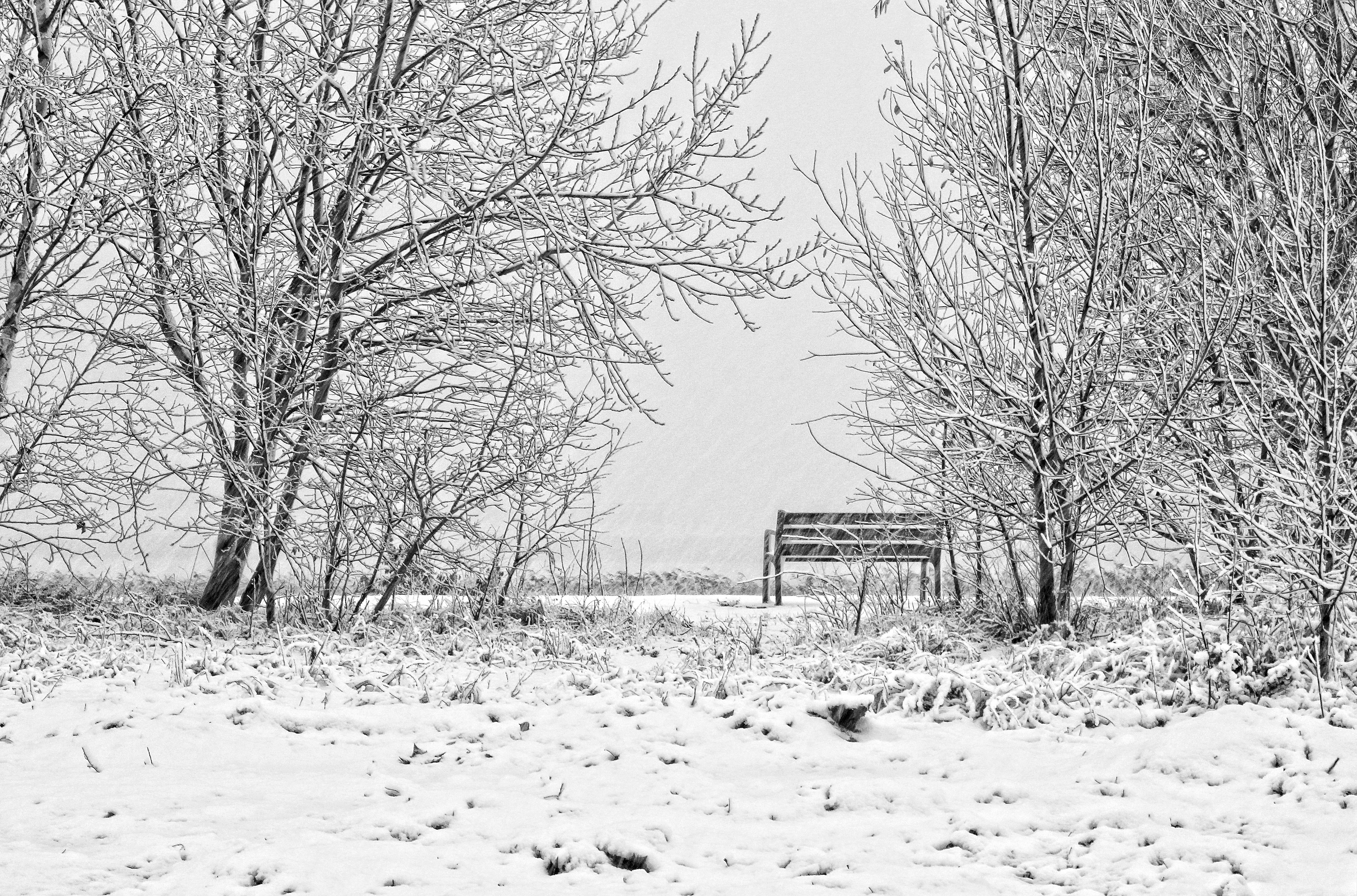 lege-bank-aan-de-waterkant