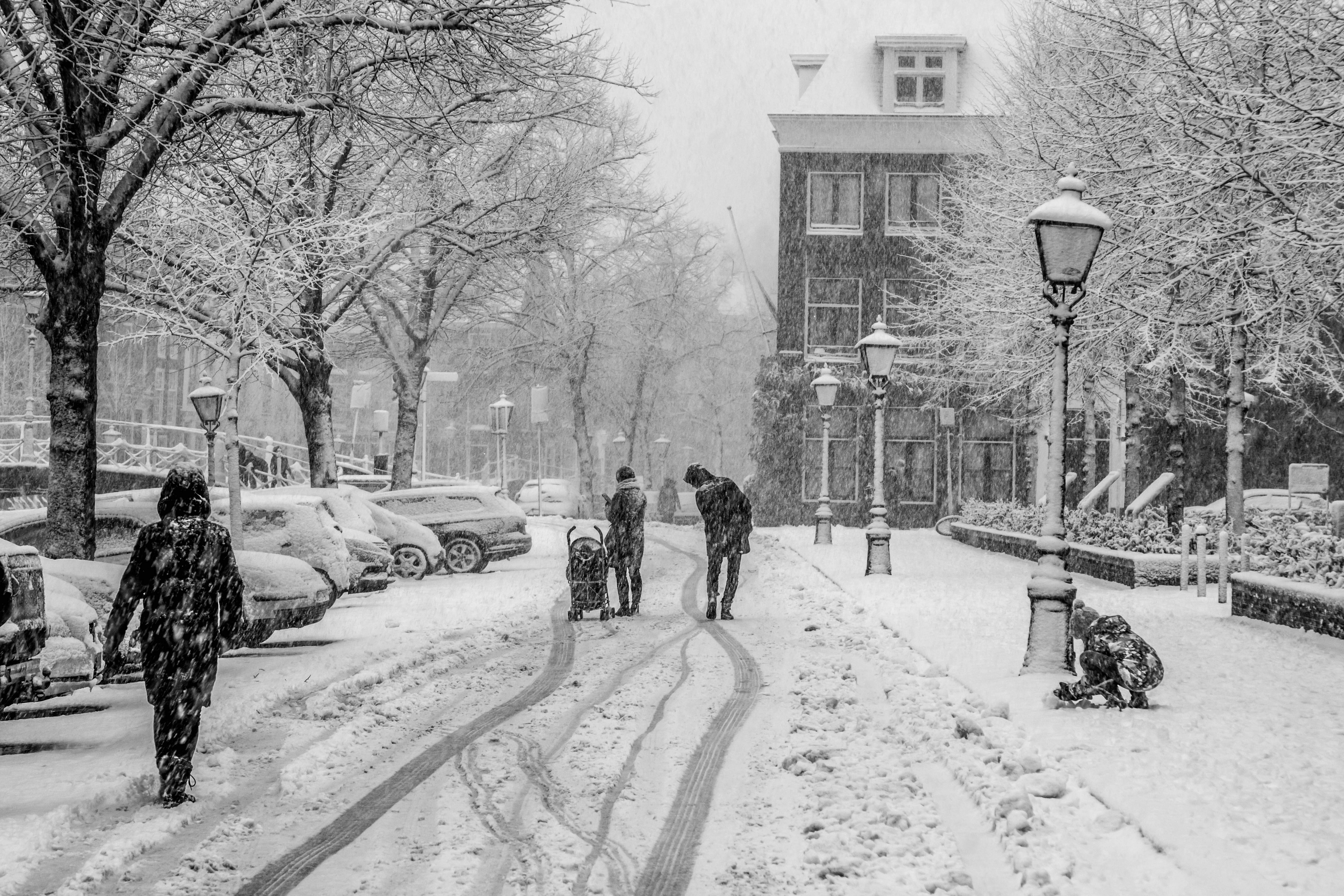in-het-midden-van-de-straat-en-niet-op-de-stoep