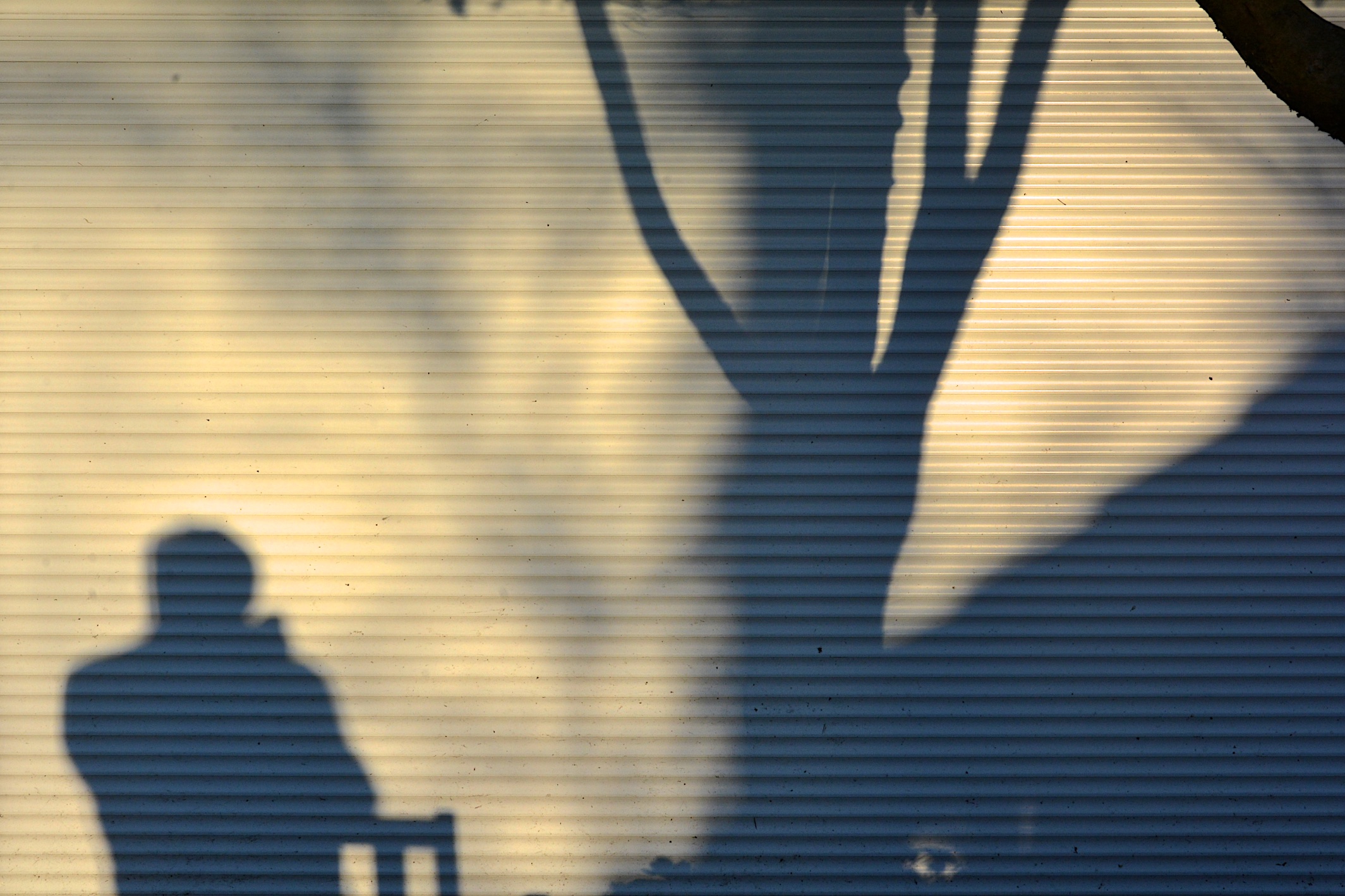 met-de-zon-in-mijn-rug